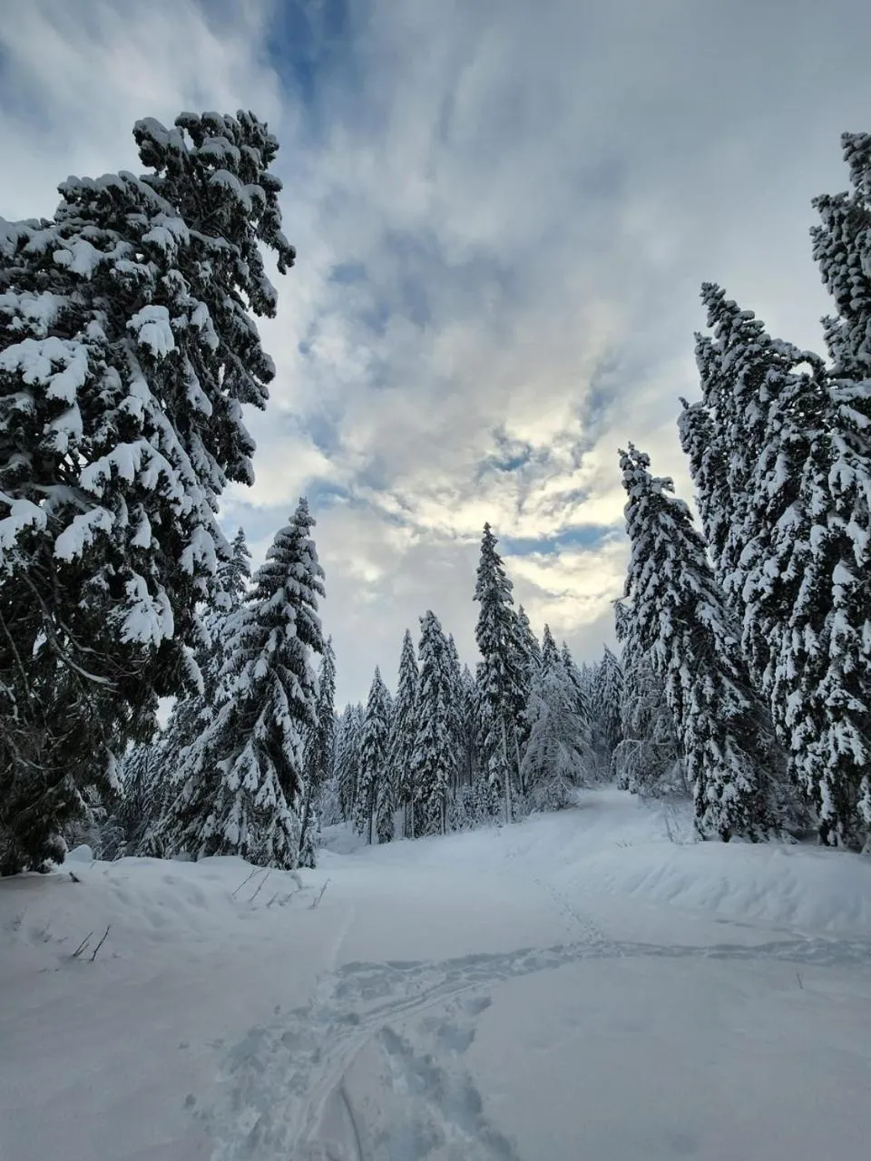 Hiking in Hotel Hirschen
