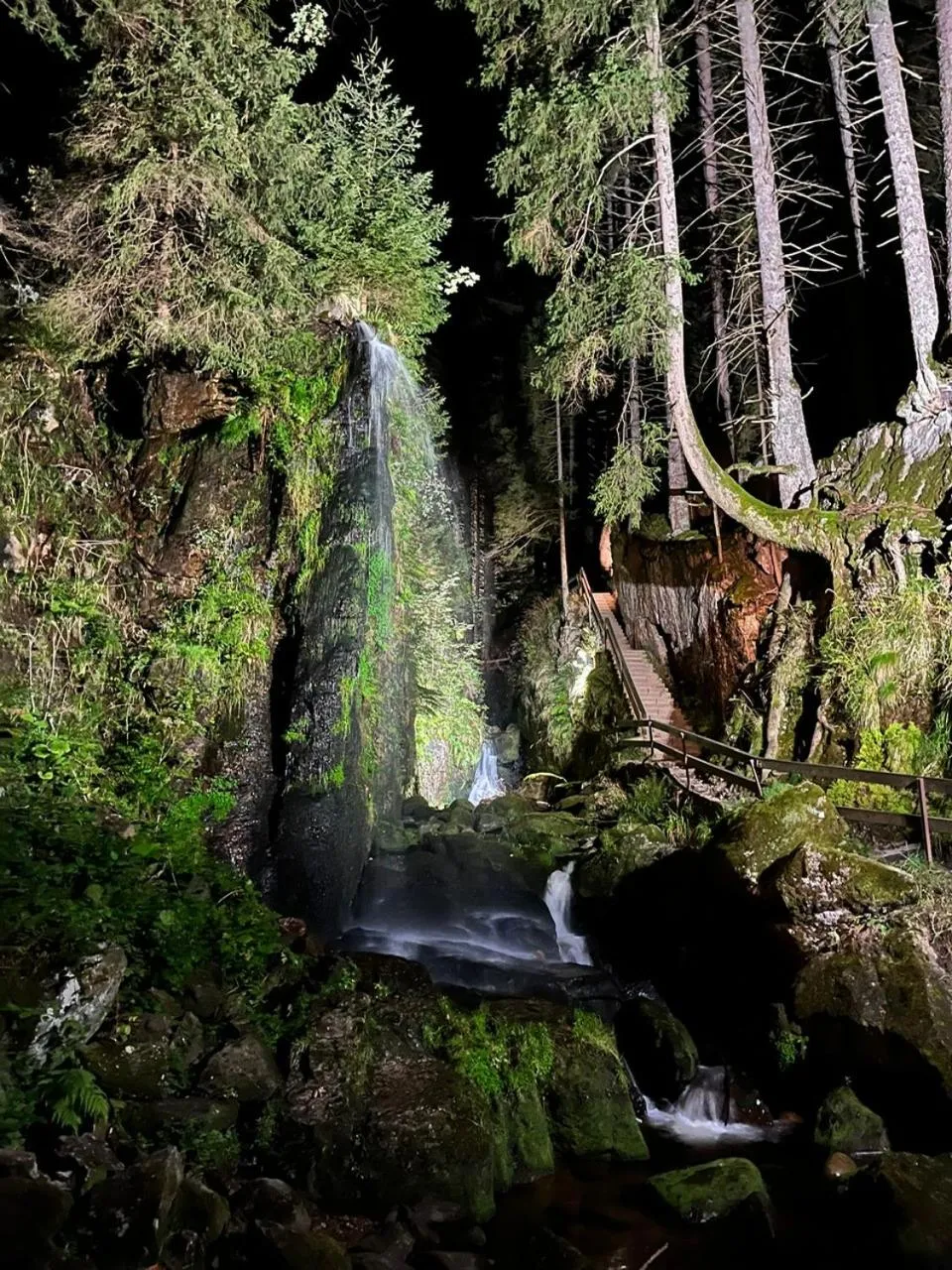 Hiking in Hotel Hirschen