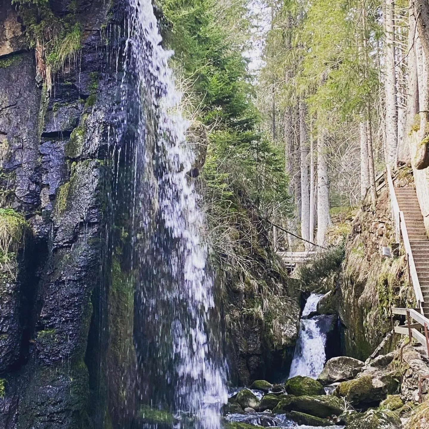 Natural landscape in Hotel Hirschen