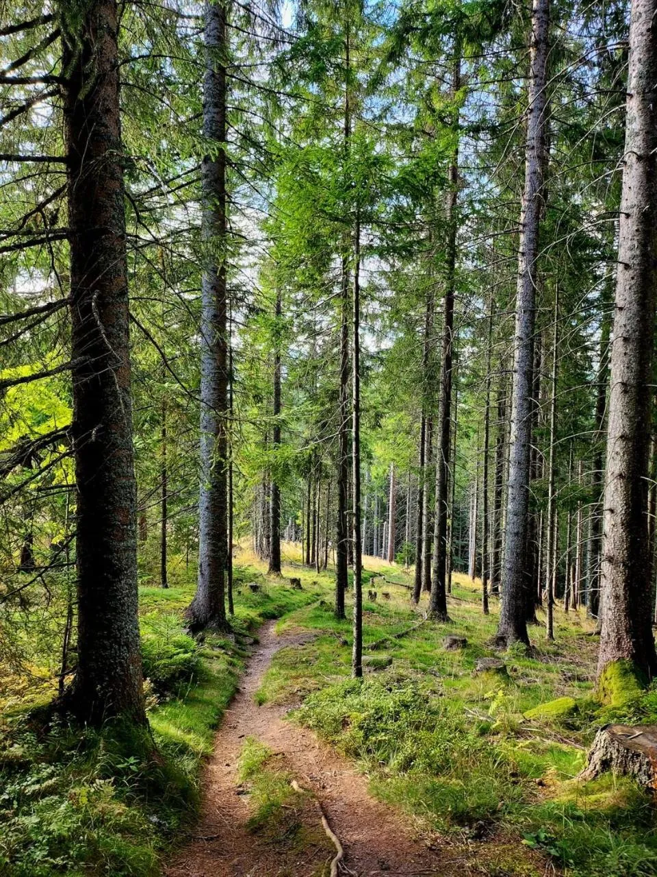Hiking in Hotel Hirschen