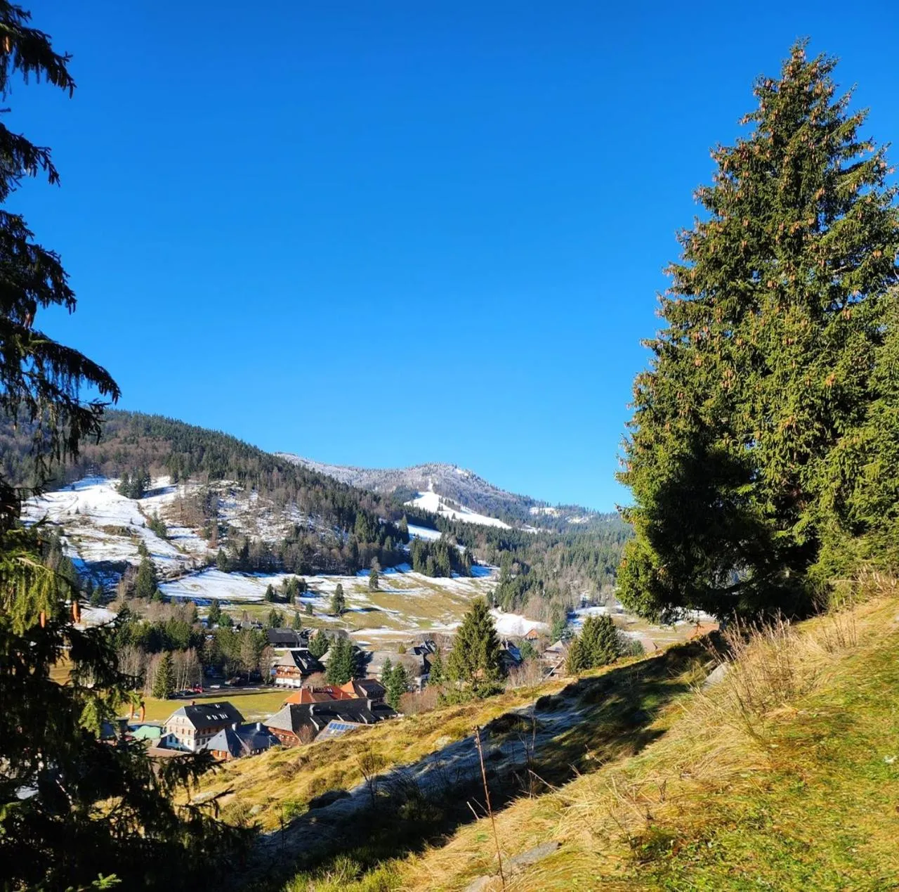 Hiking in Hotel Hirschen