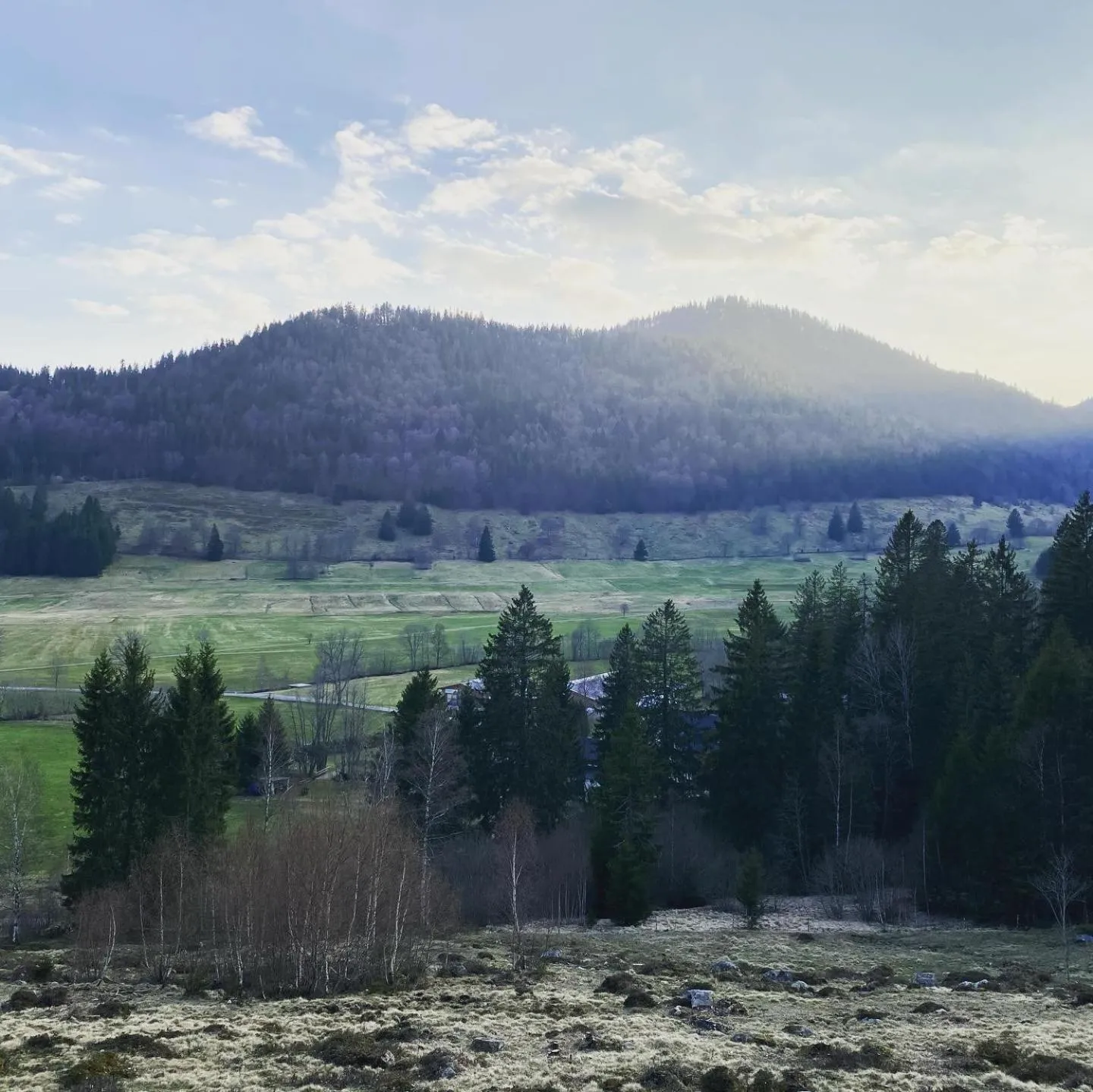 Natural landscape in Hotel Hirschen