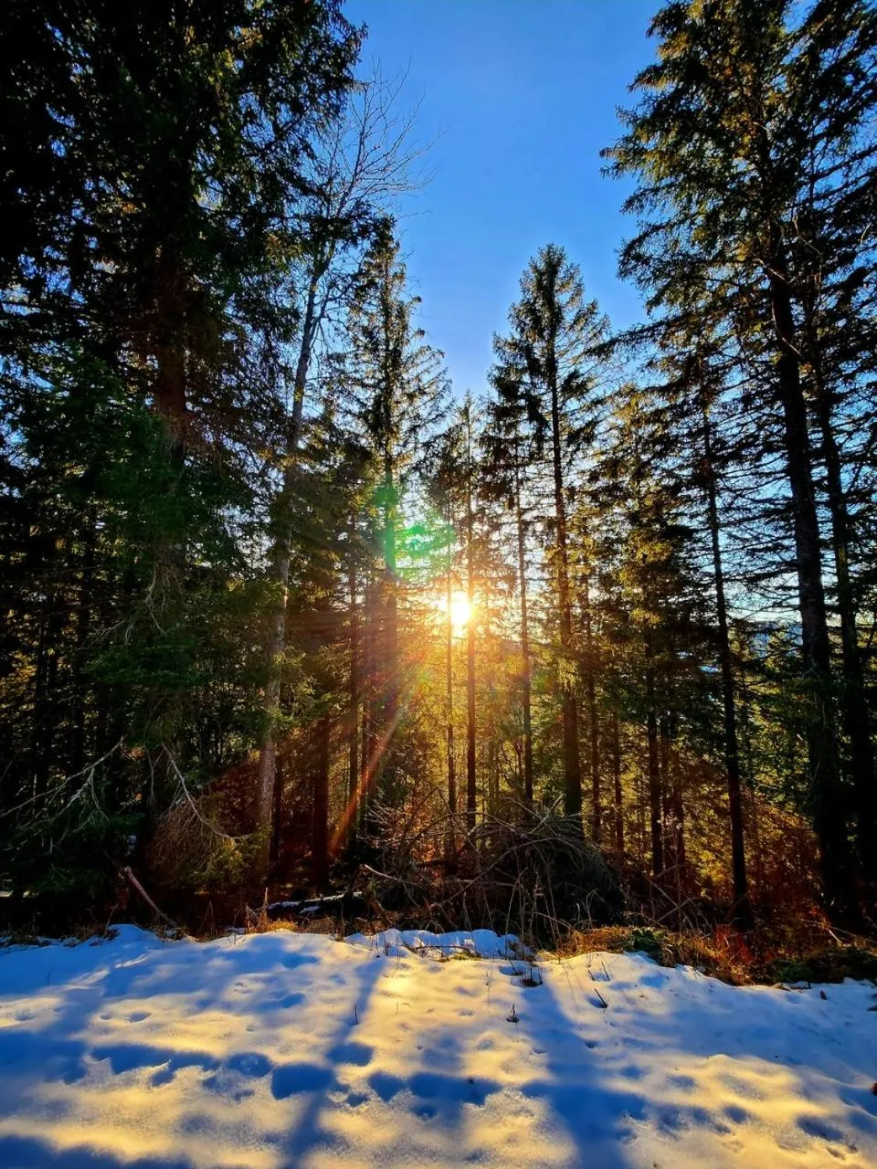 Hiking in Hotel Hirschen