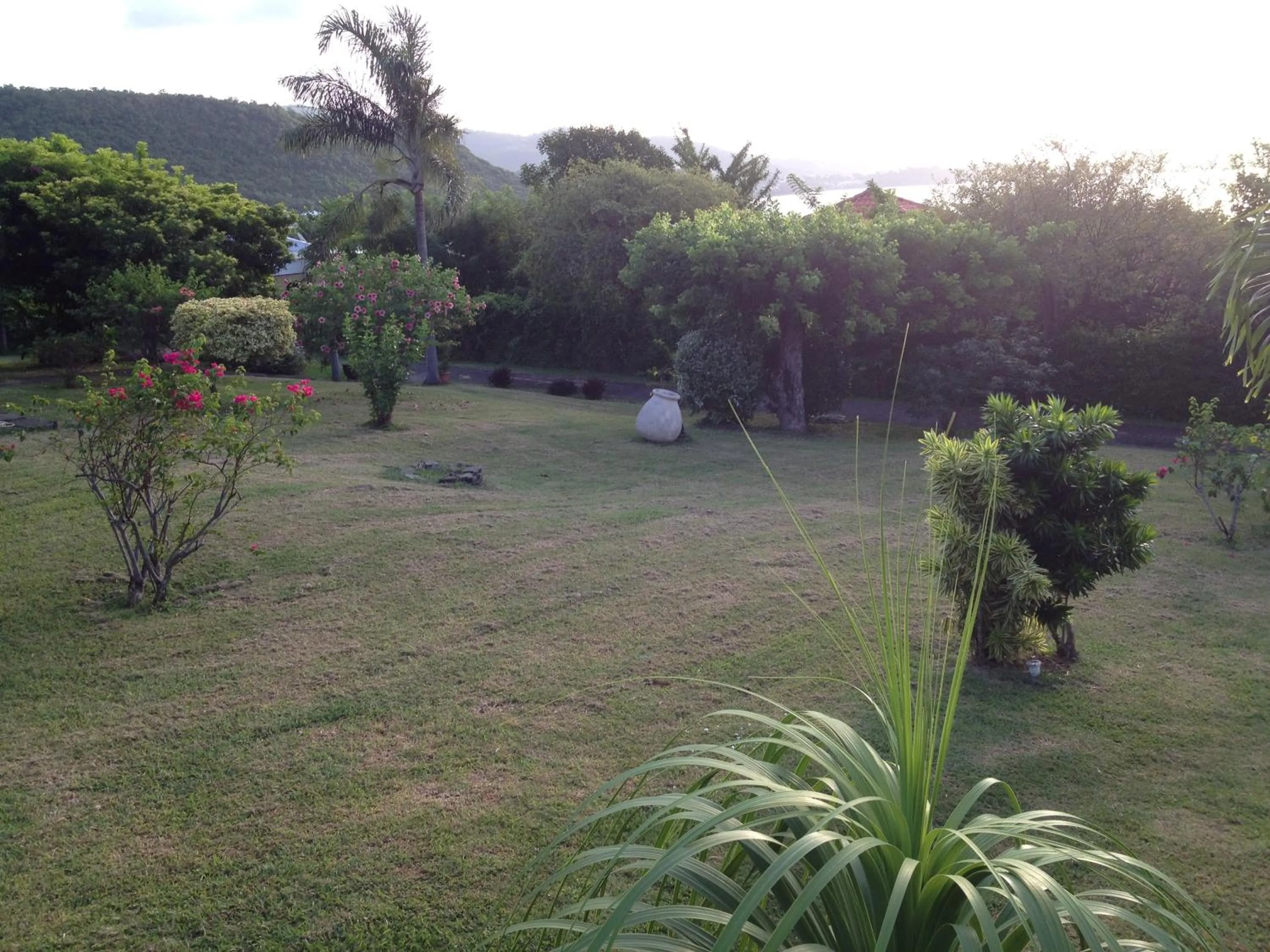 Garden in COEUR SUR LA MAIN