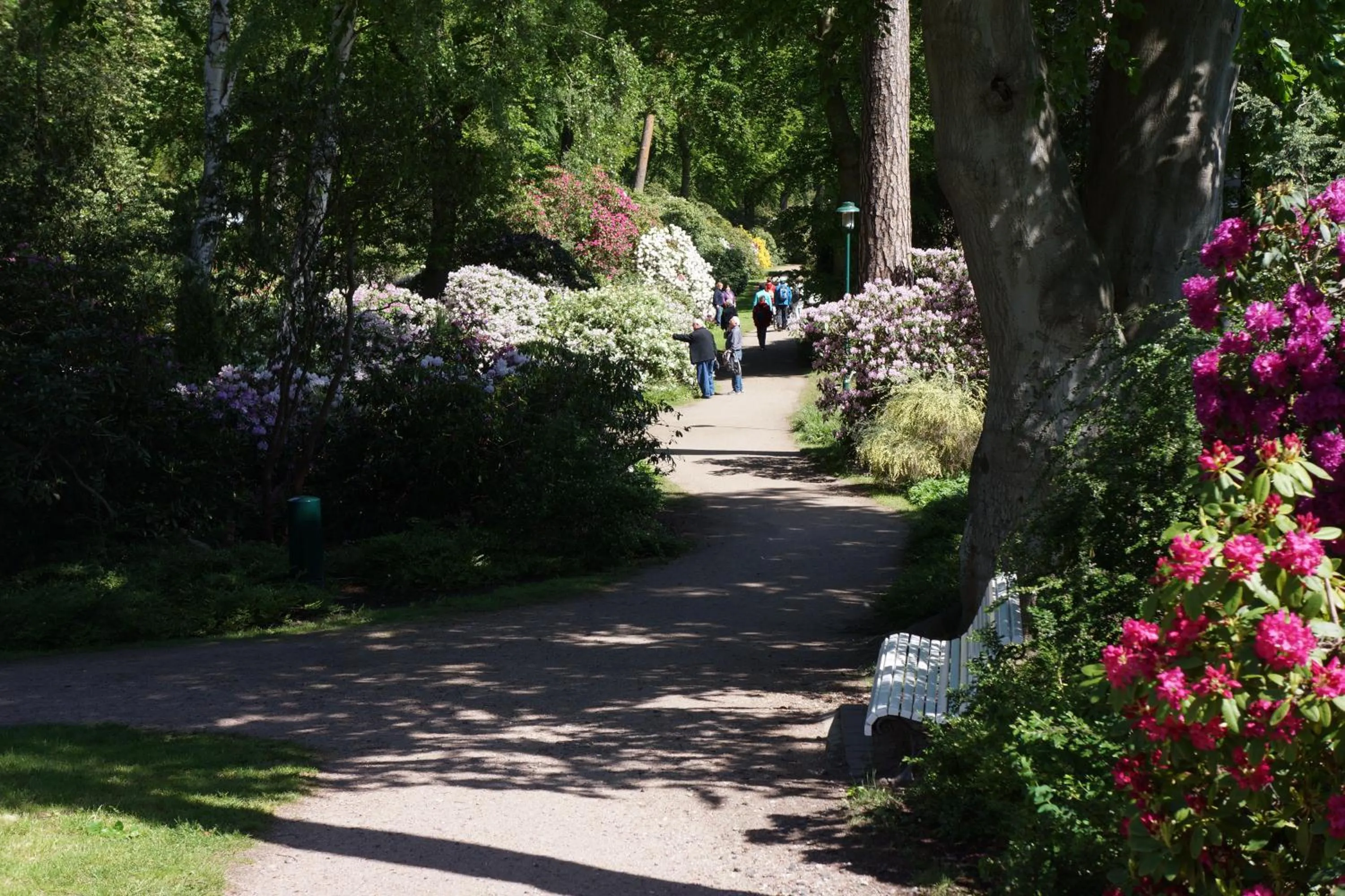 Spring in Hotel Waldperle