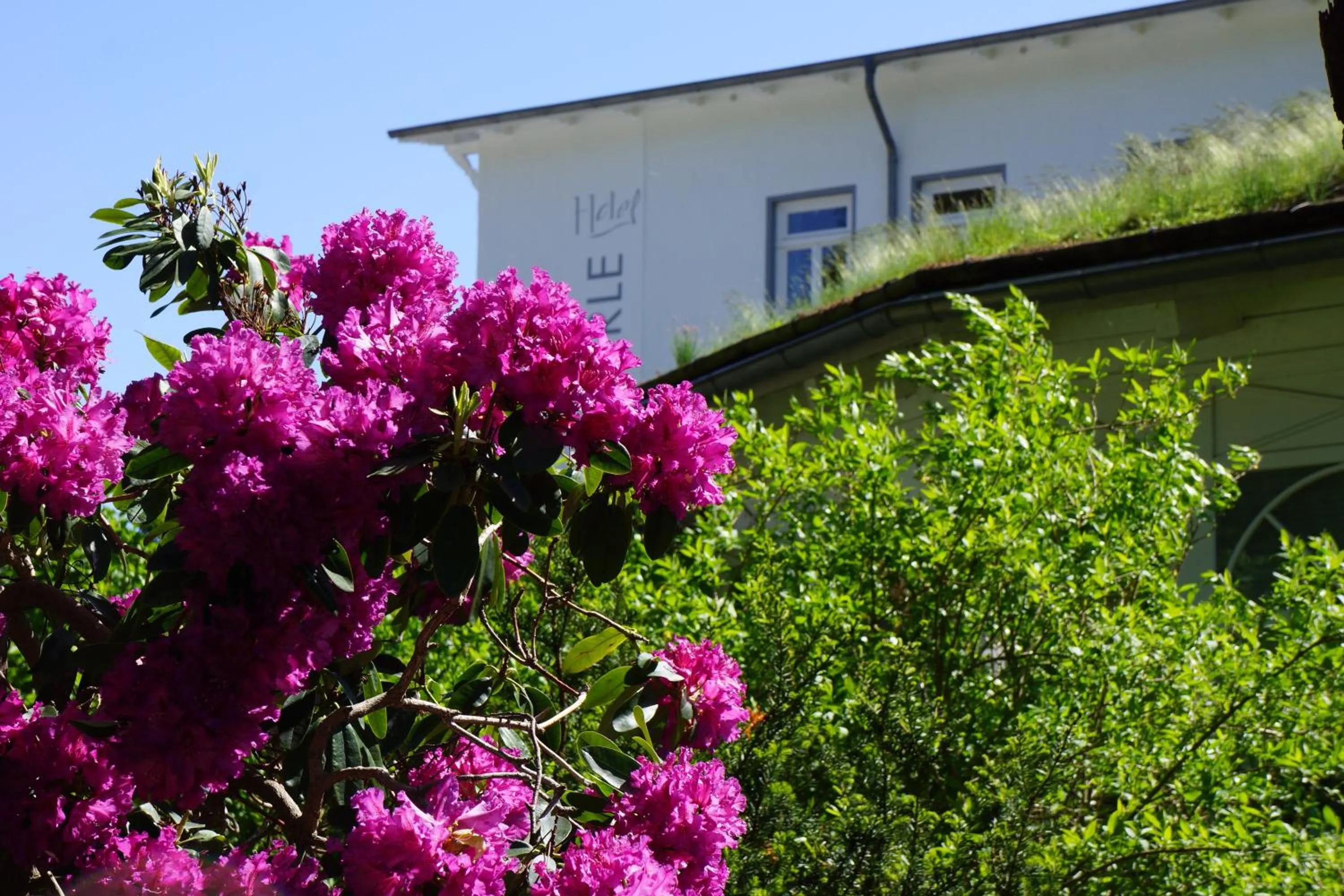 Property building in Hotel Waldperle