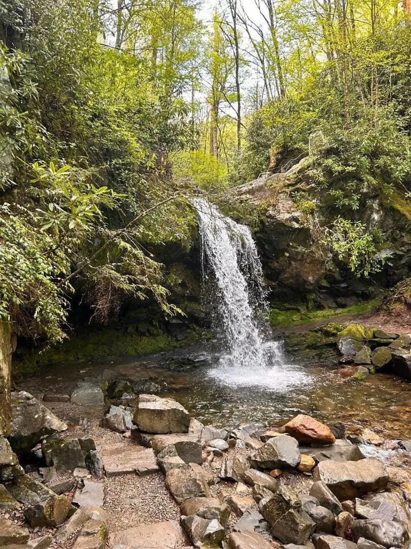 Natural landscape in Tucked Away Cabin