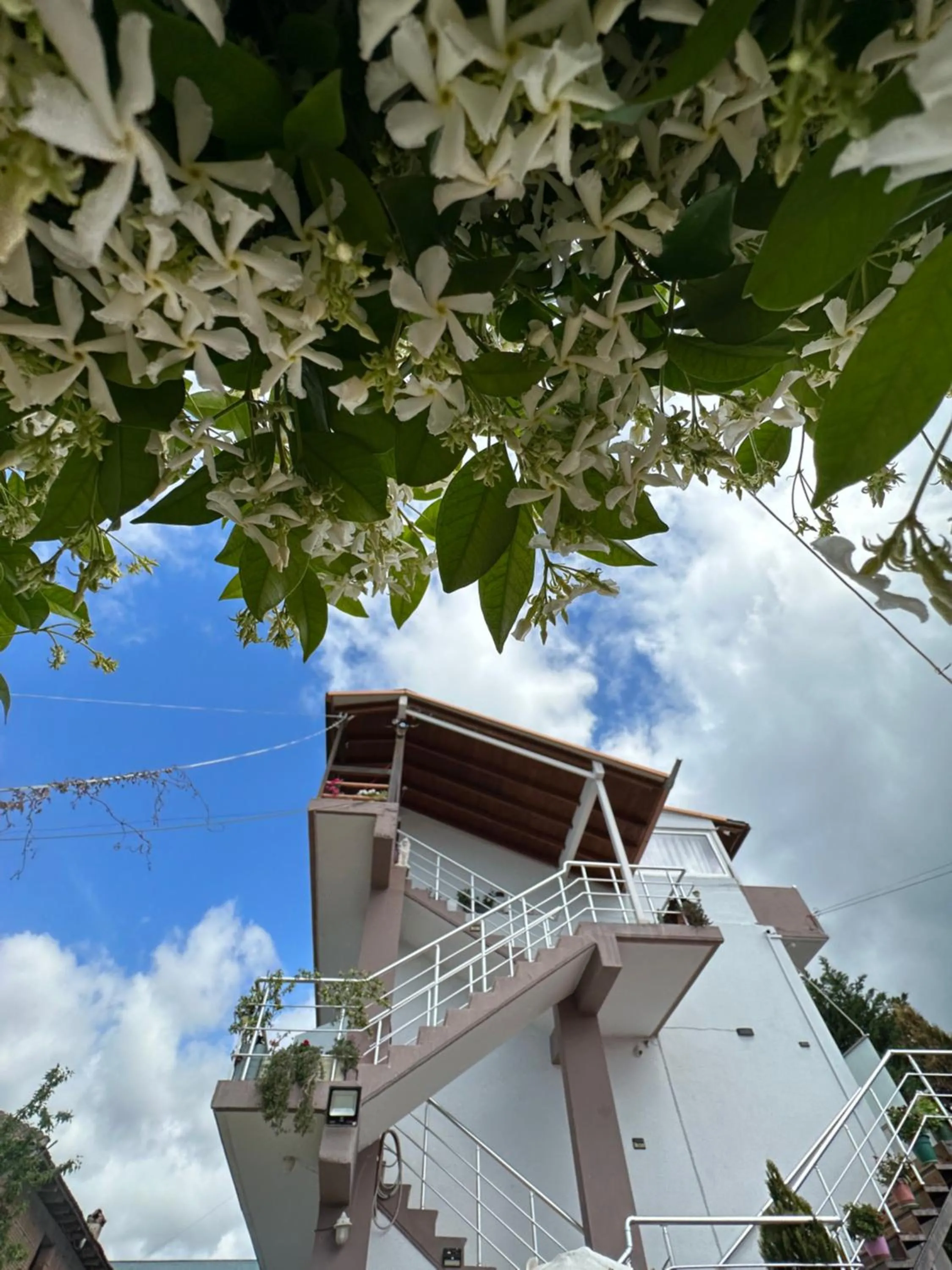Property building in Anel Suites