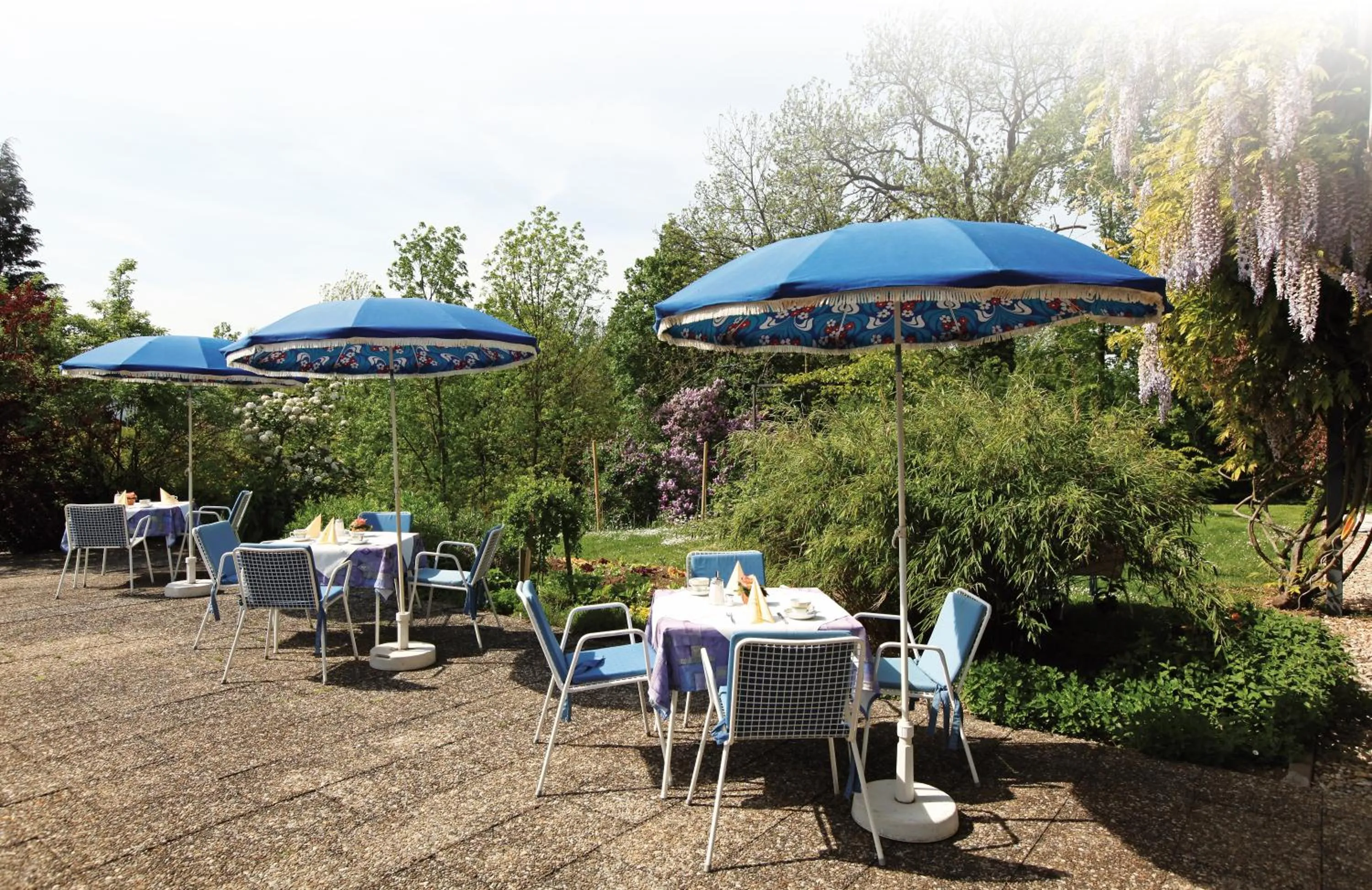 Balcony/Terrace in Burghotel