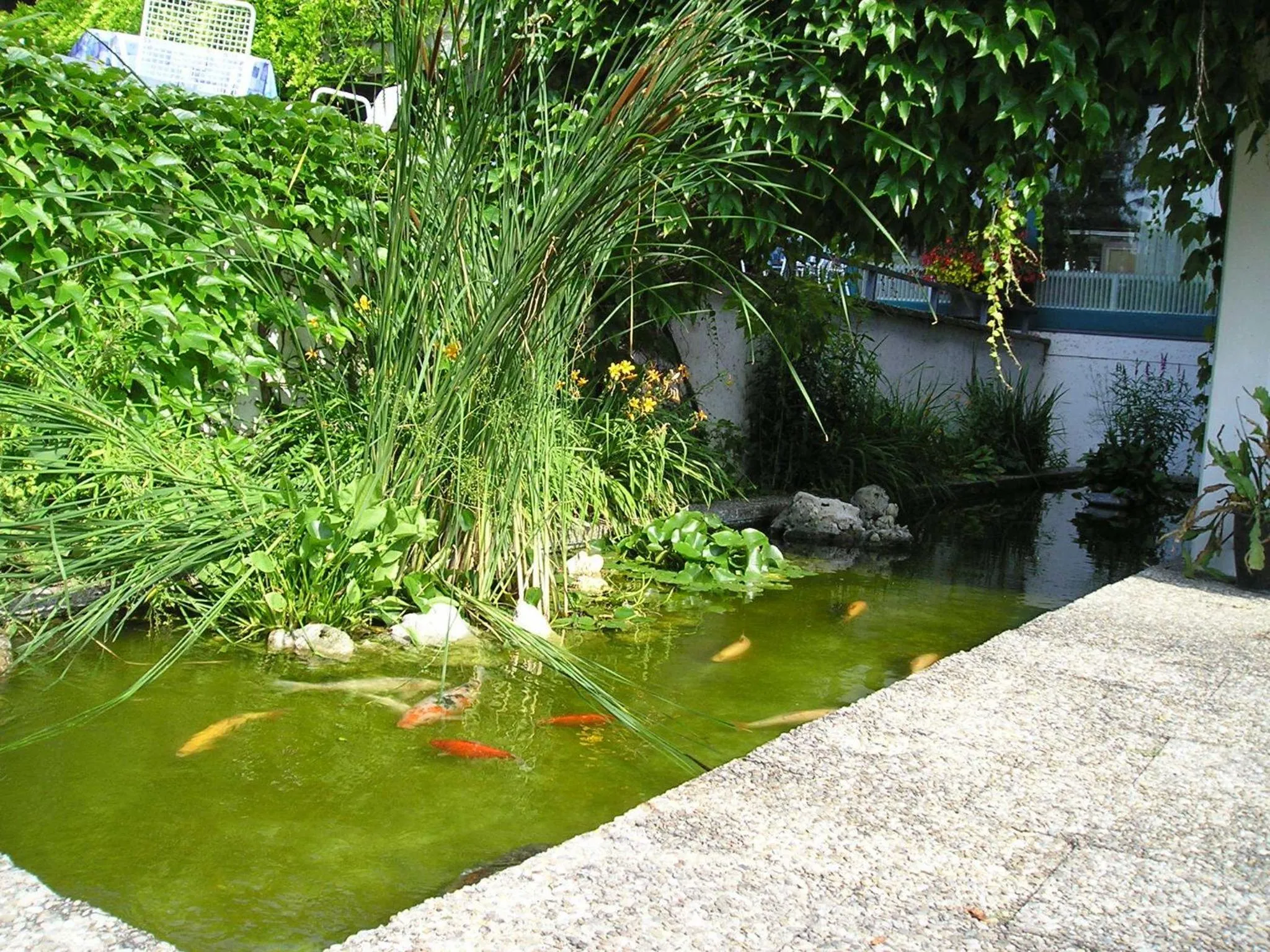 Property building in Burghotel