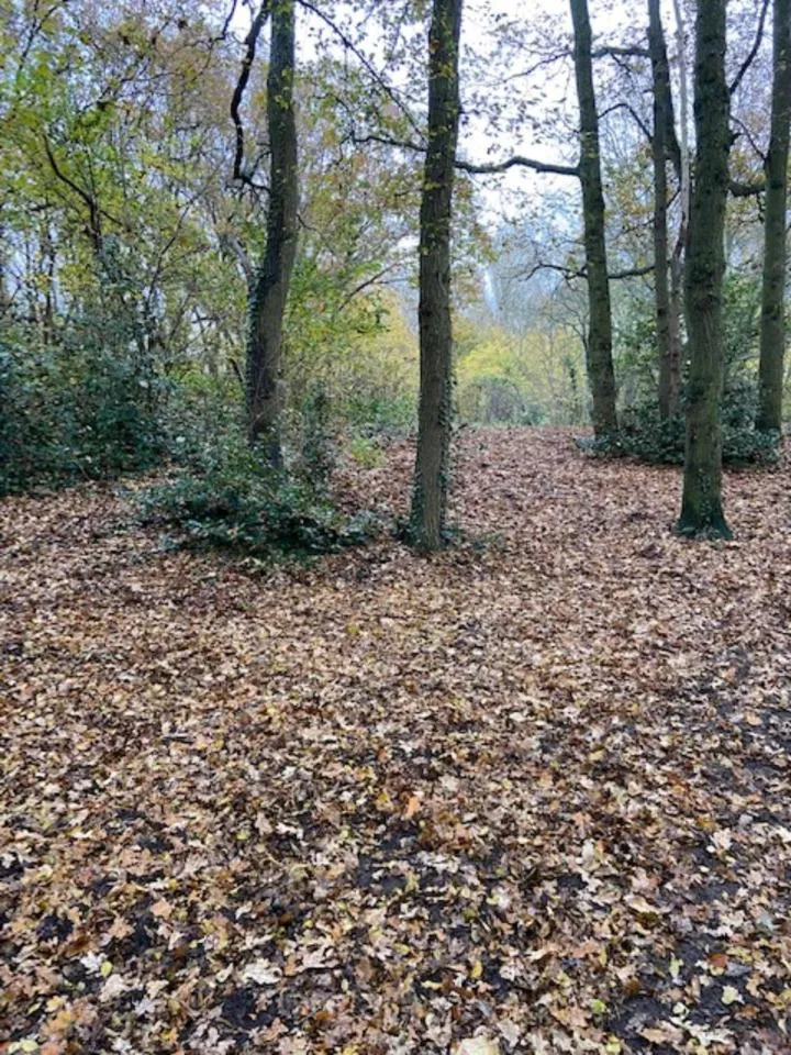 Natural landscape in B&B Ereprijs