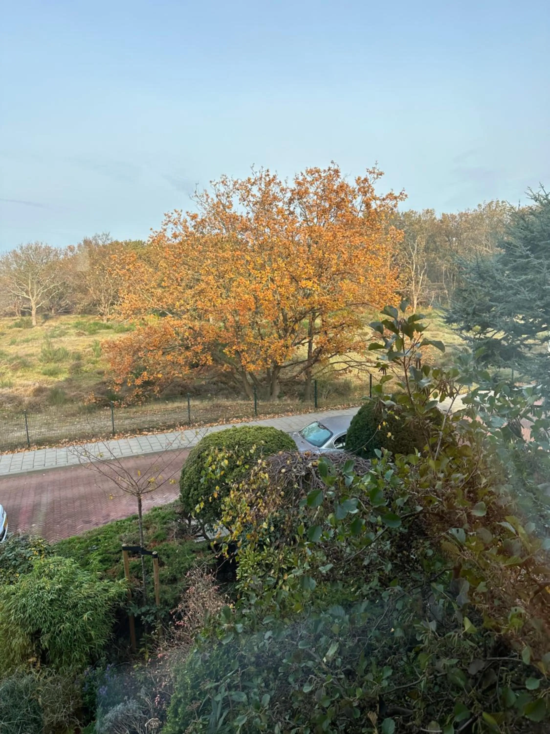 Natural landscape in B&B Ereprijs