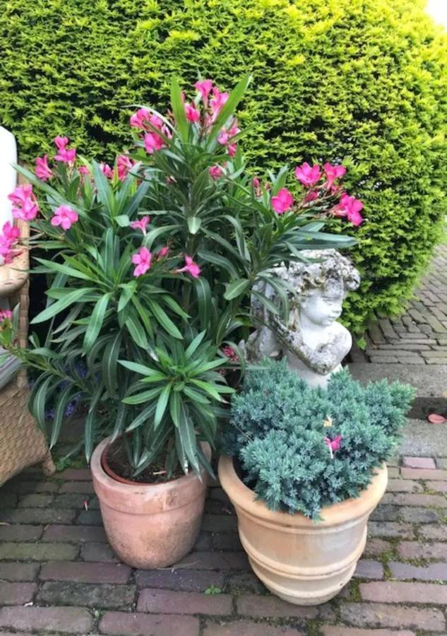 Garden in B&B Ereprijs