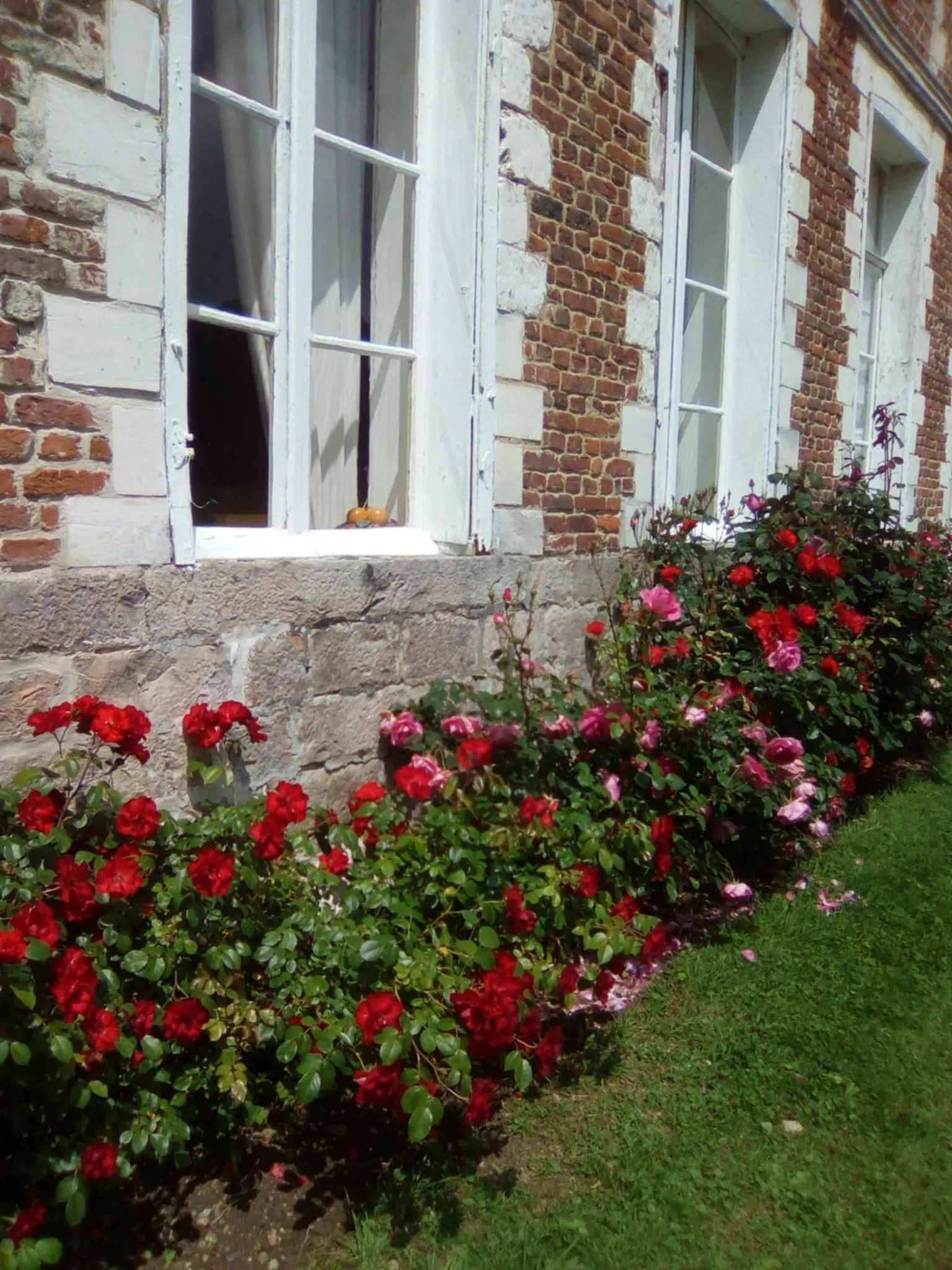 Garden in Chambres d'hôtes & Gîtes du Château de Grand Rullecourt