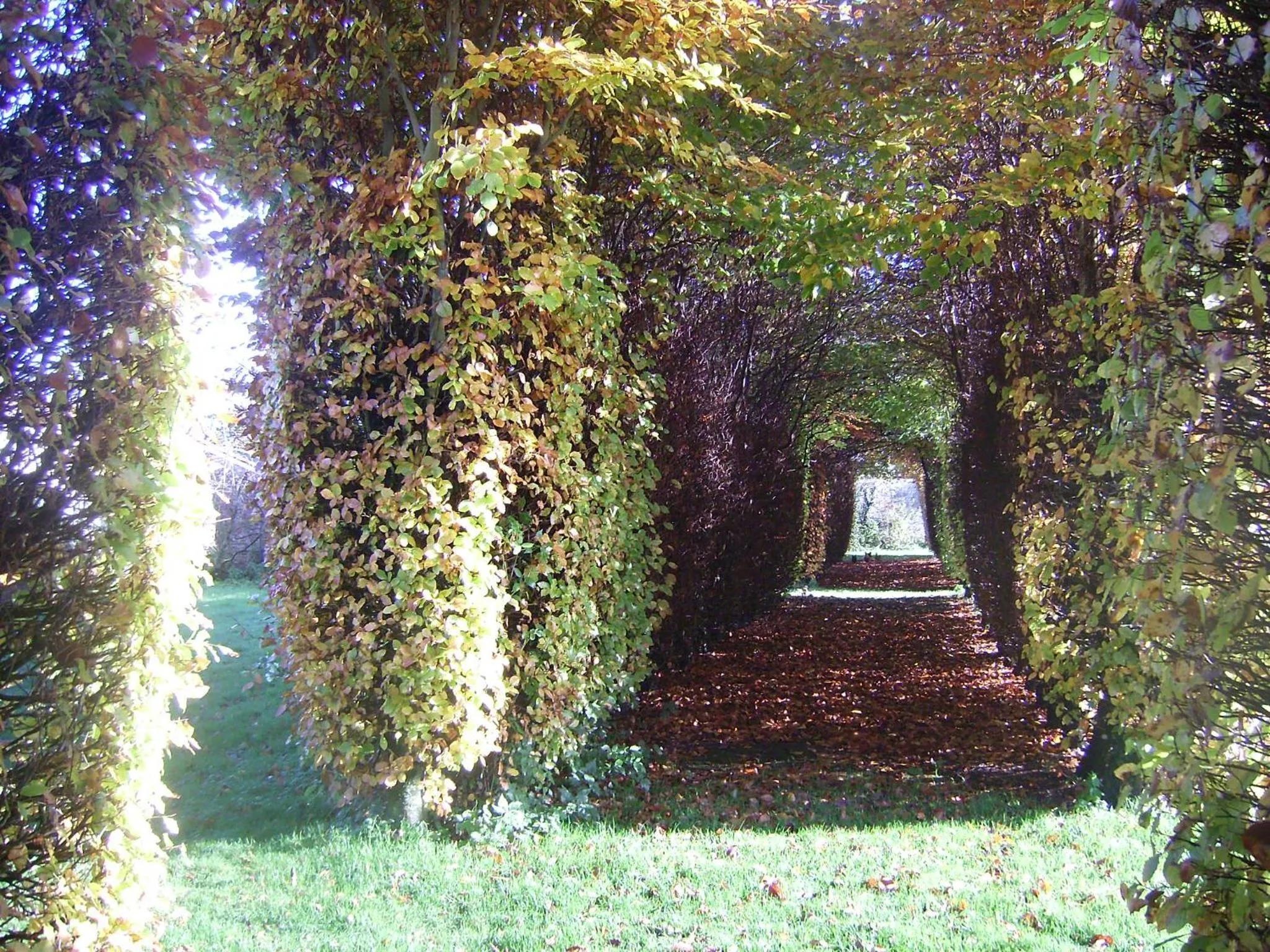 Garden in Chambres d'hôtes & Gîtes du Château de Grand Rullecourt
