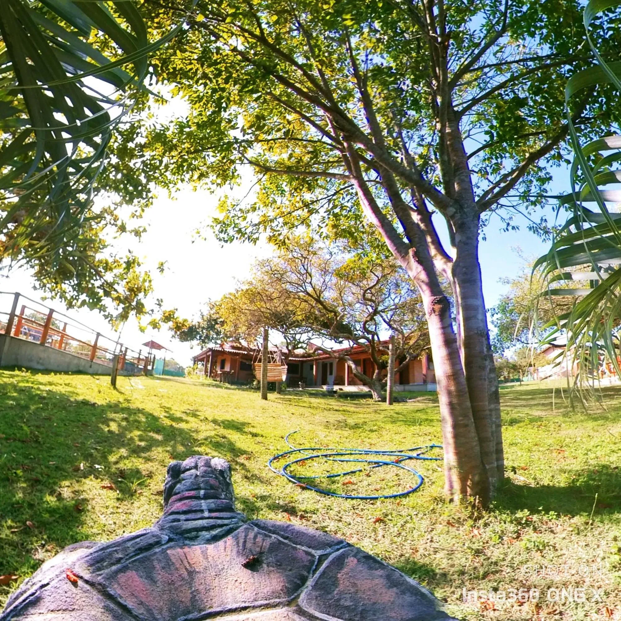 Spring in Vila das Mangabeiras Corumbau