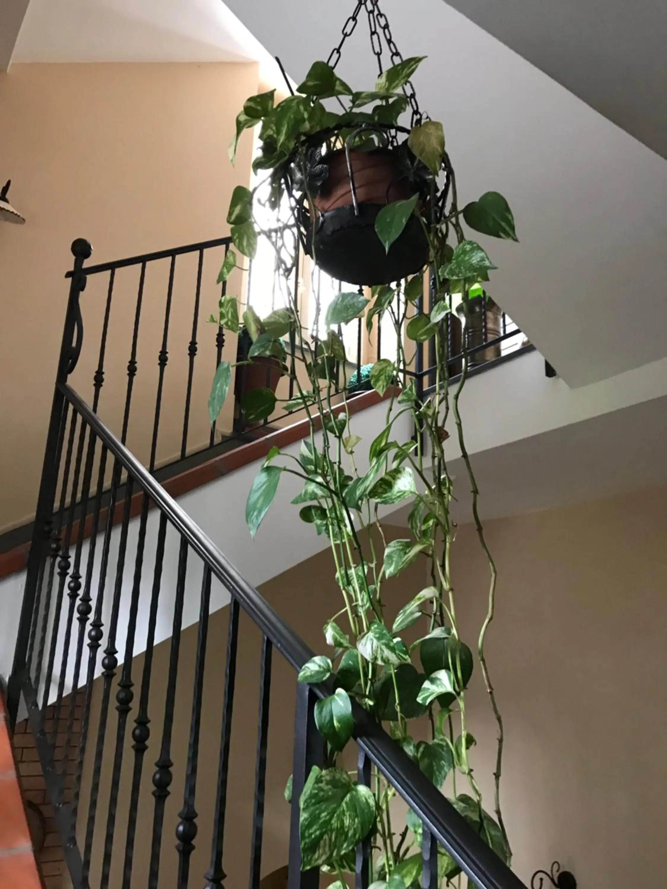 Decorative detail in B&b La Magnolia