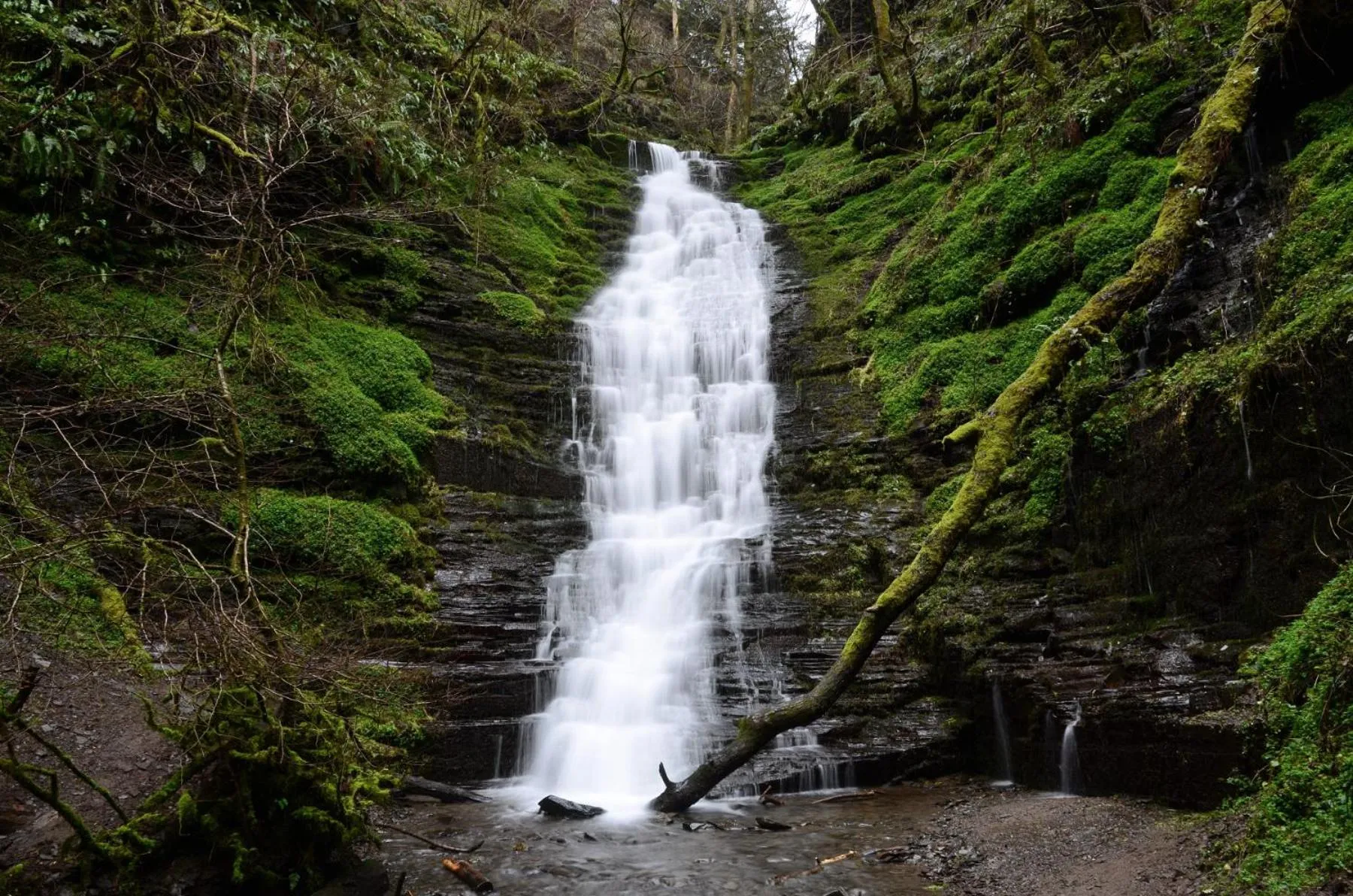 Nearby landmark in Highland Moors