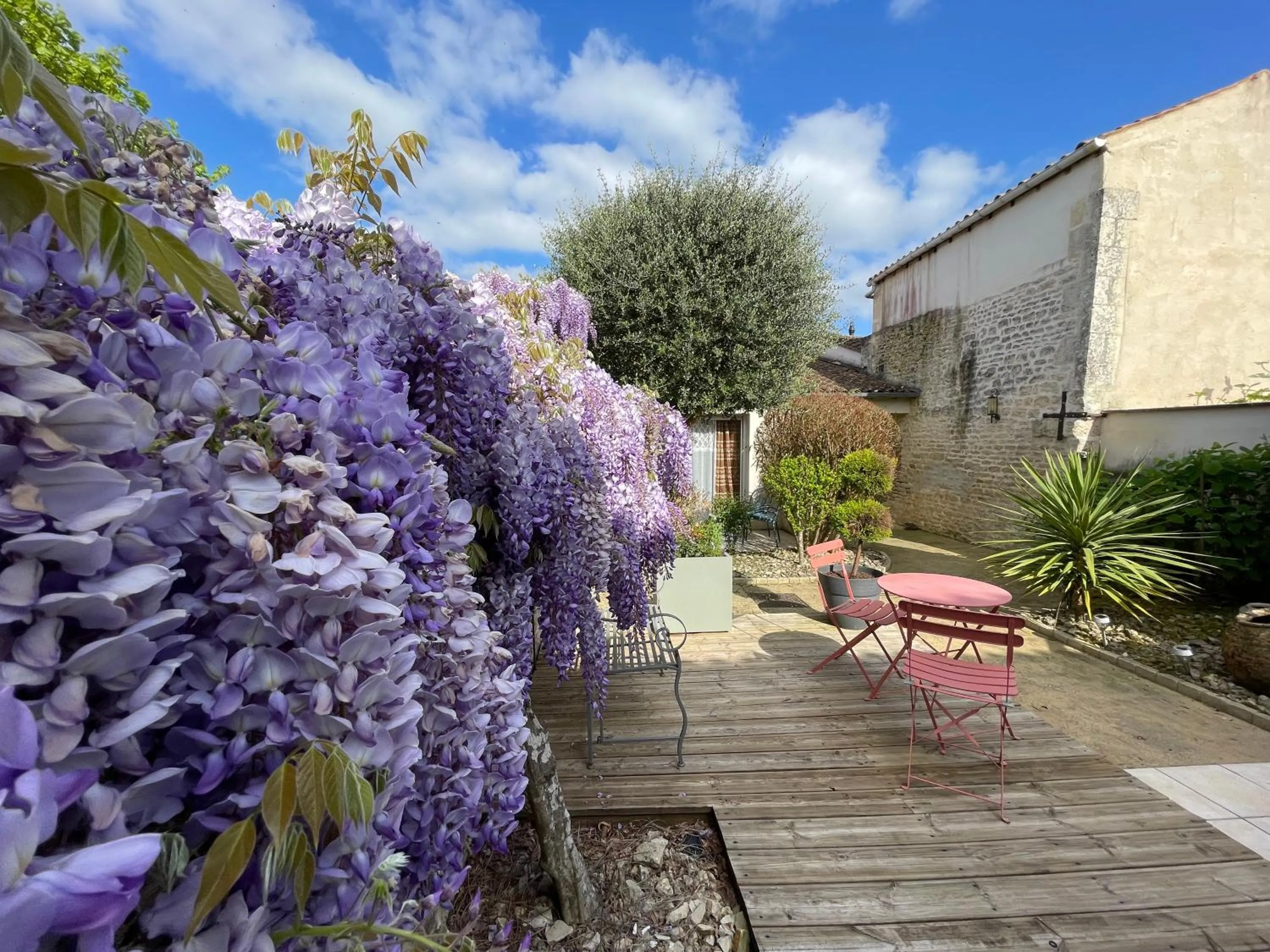Garden in Logis Hôtel Le Central