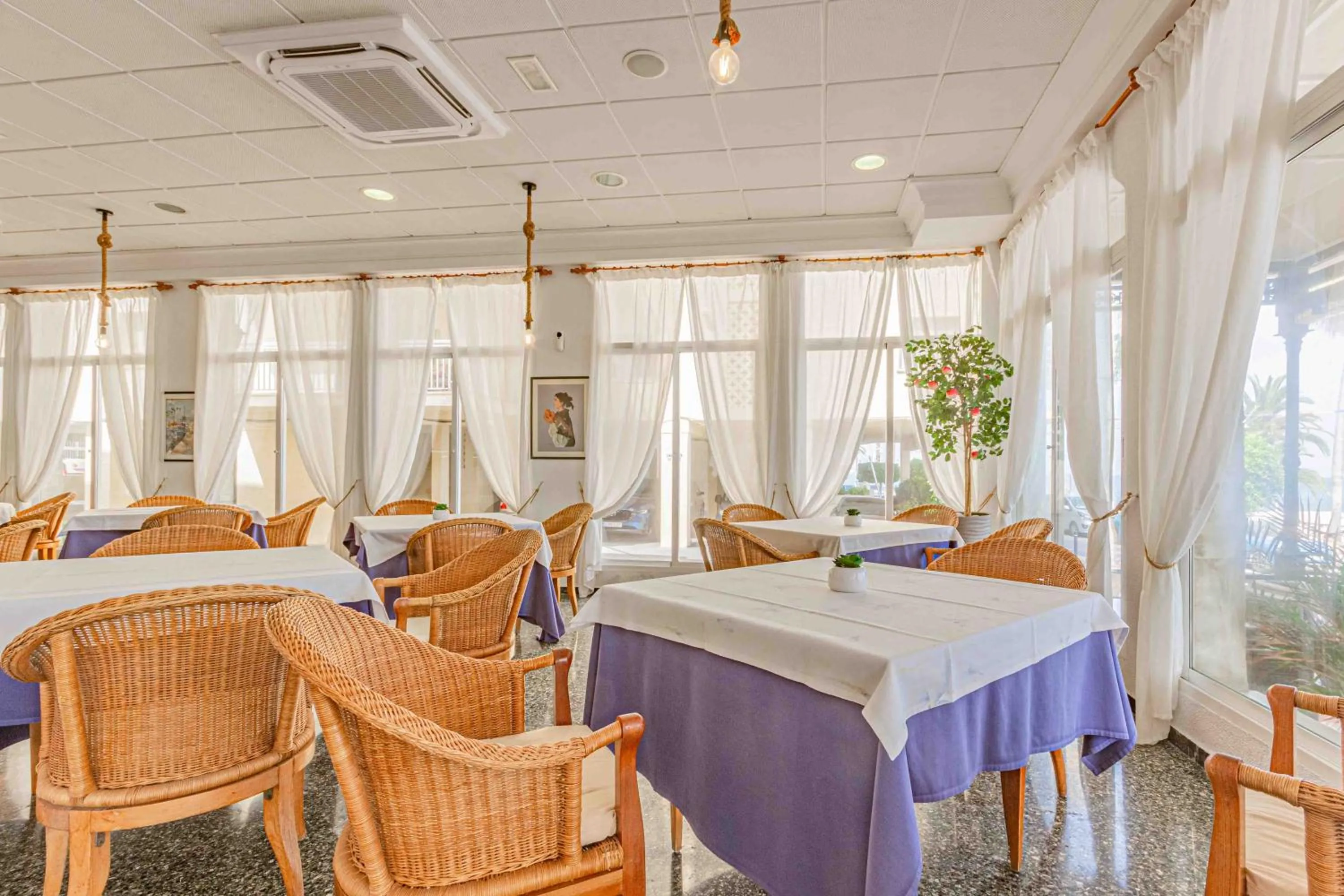 Restaurant/places to eat in Hotel Altaia