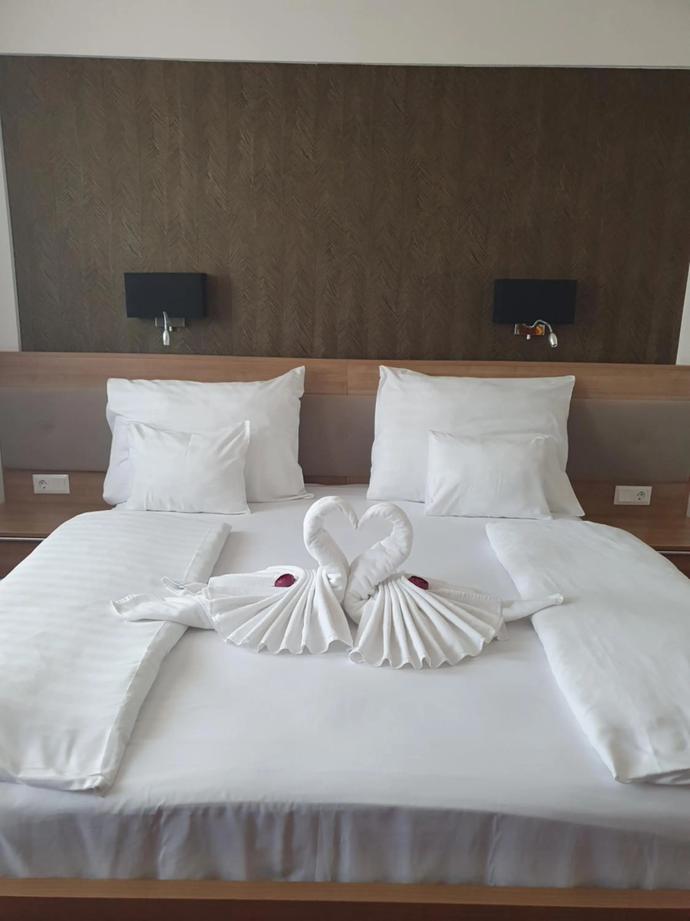 Double or Twin Room in Corvina Hotel-Restaurant