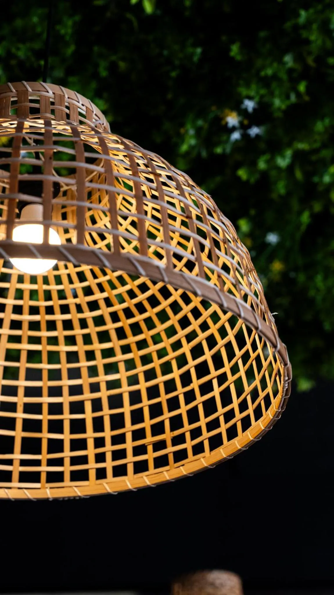 Restaurant/places to eat in Avenue Hotel Deluxe