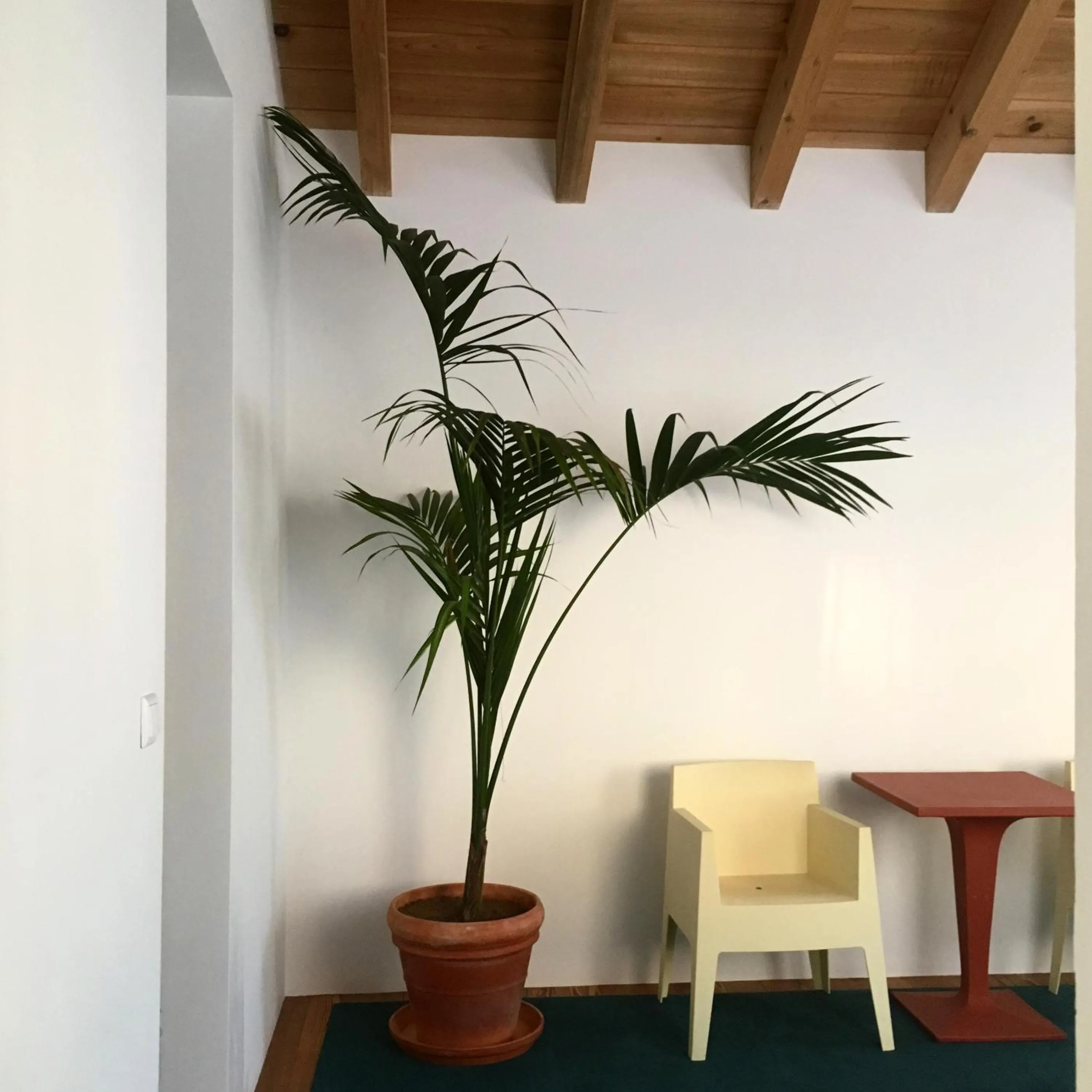 Living room in Baía das Caldeirinhas