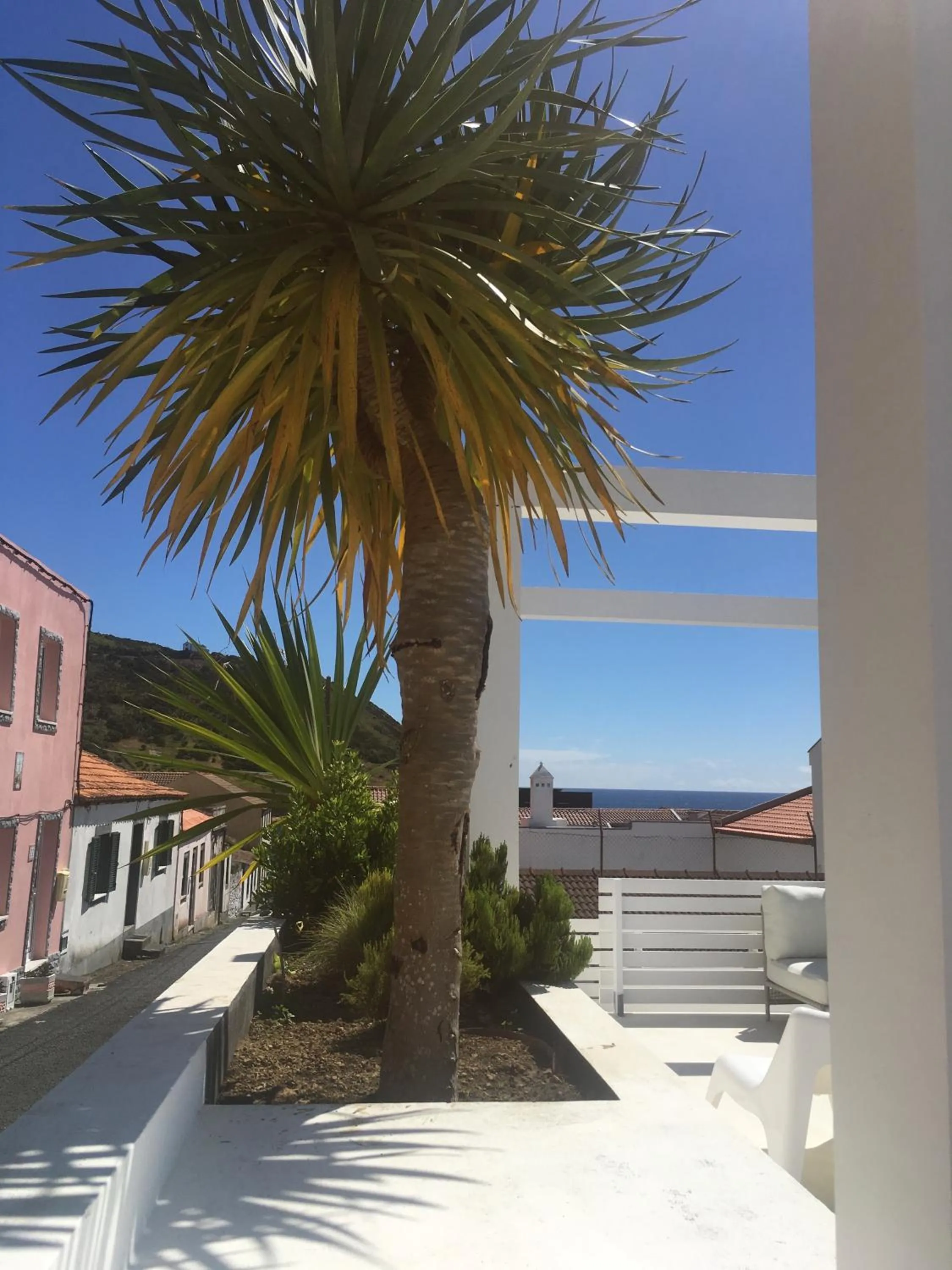 Garden in Baía das Caldeirinhas