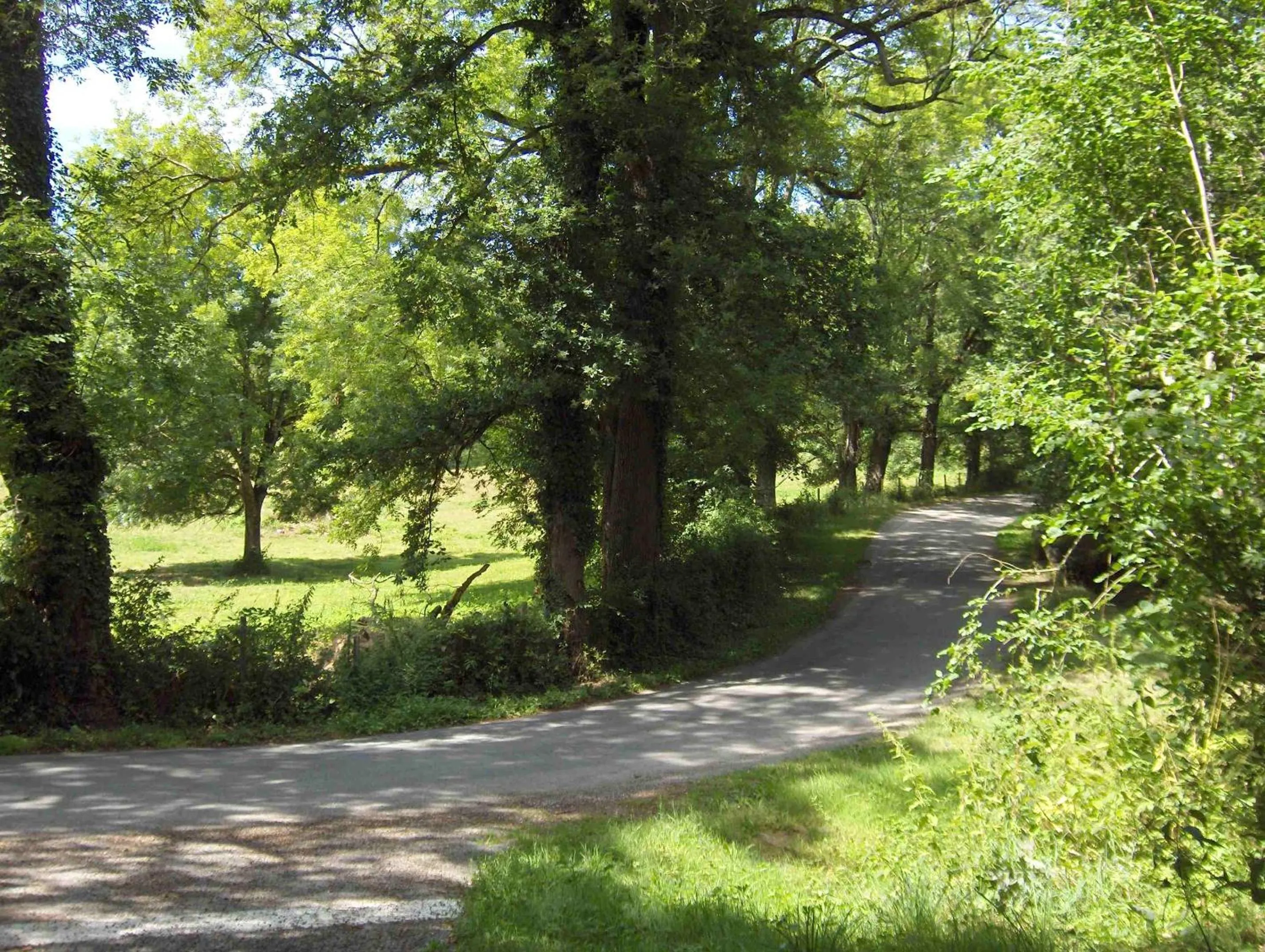 Hiking in Chambres d'Hôtes Le Chalet