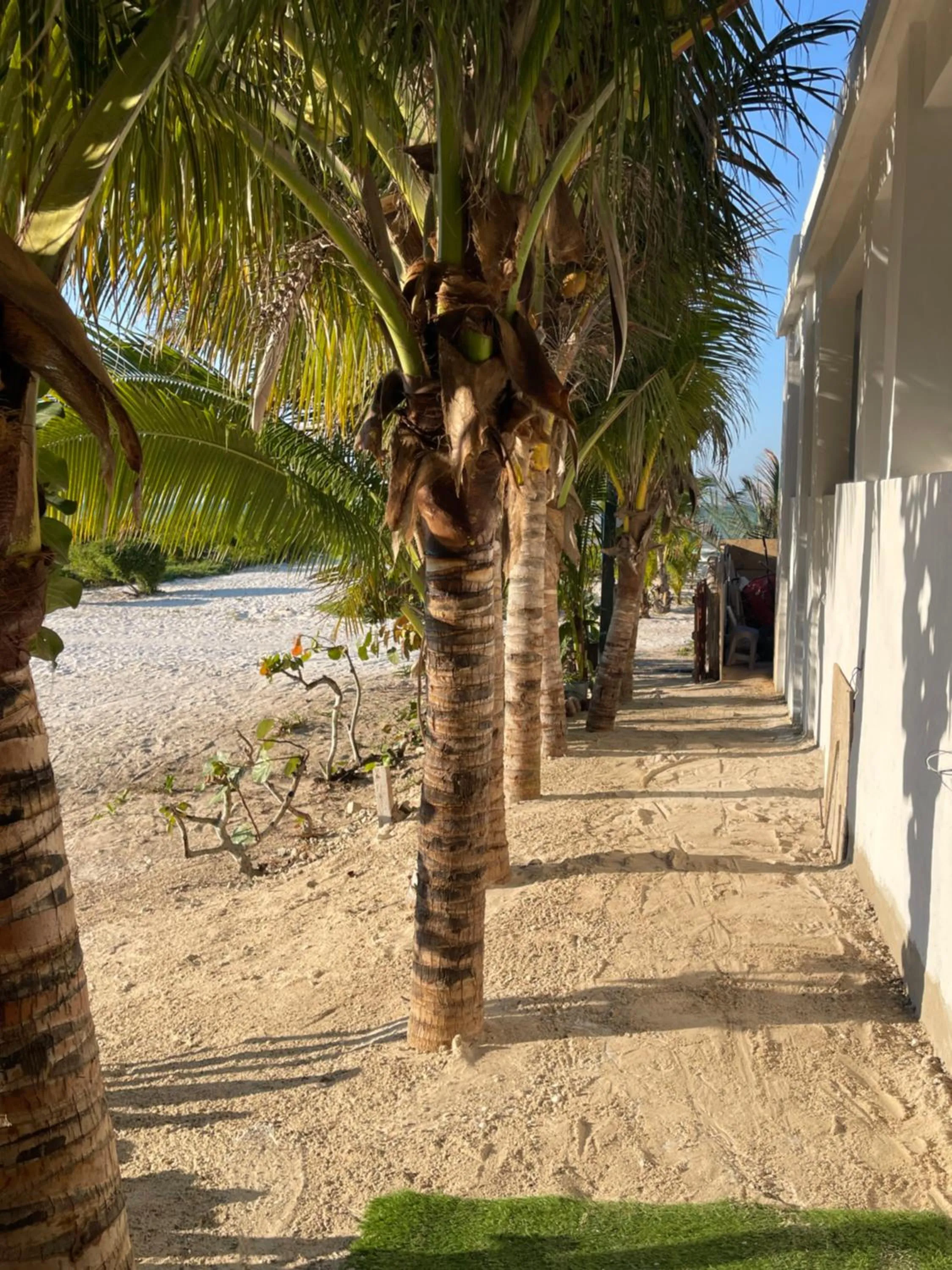 Playa Arena