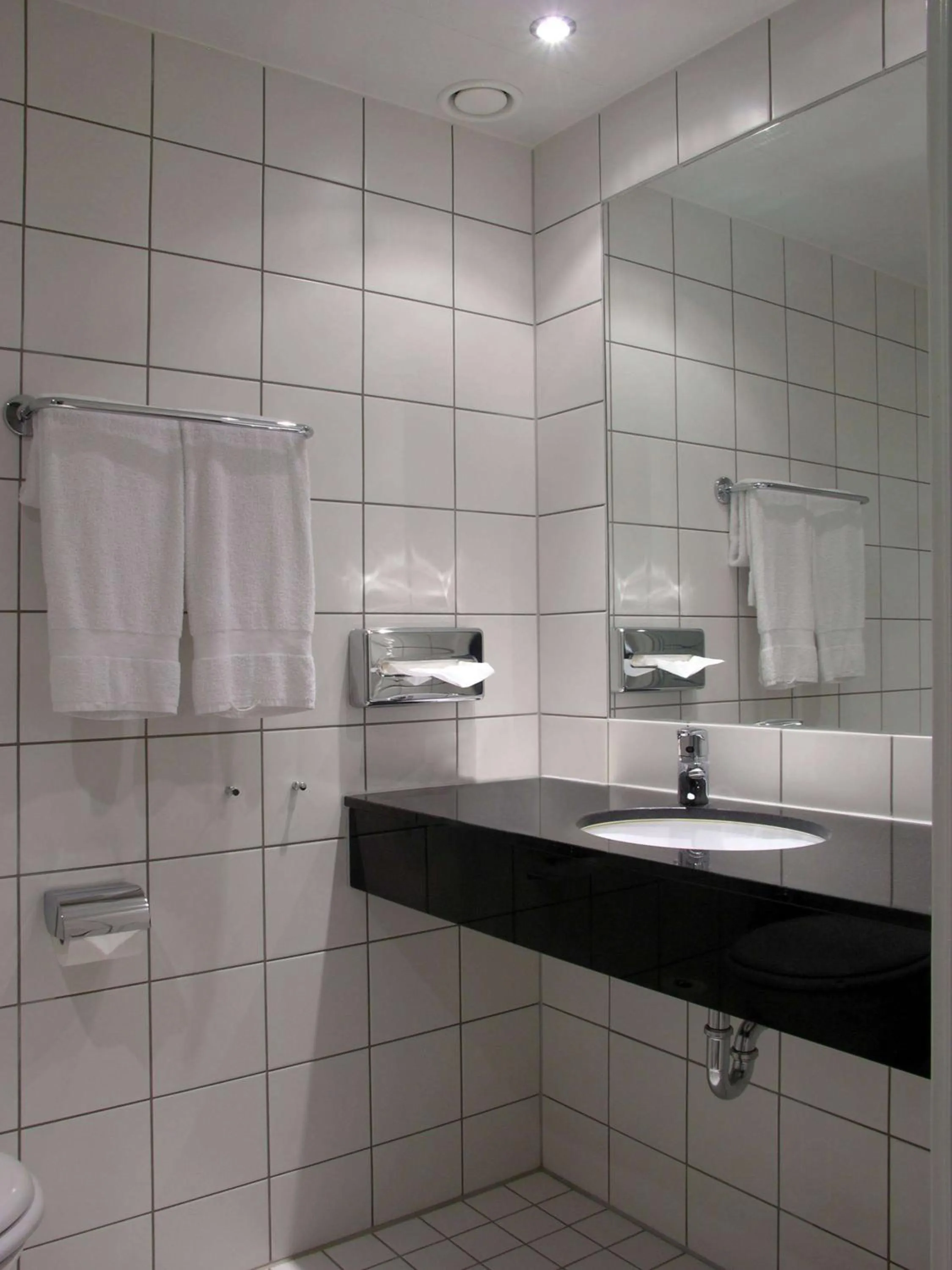 Bathroom in Scandic Hell