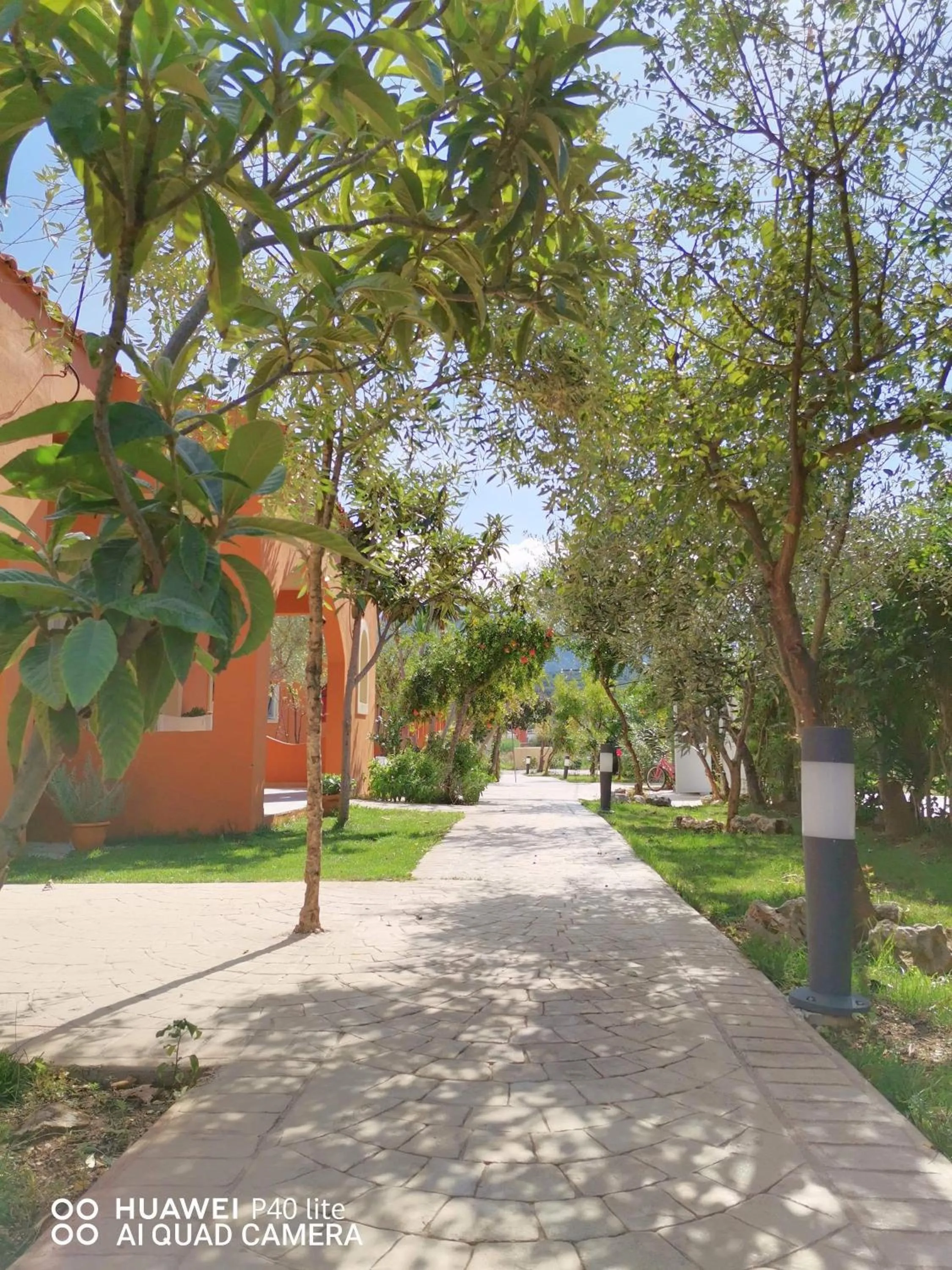 Garden in Navigator Villas - Houses