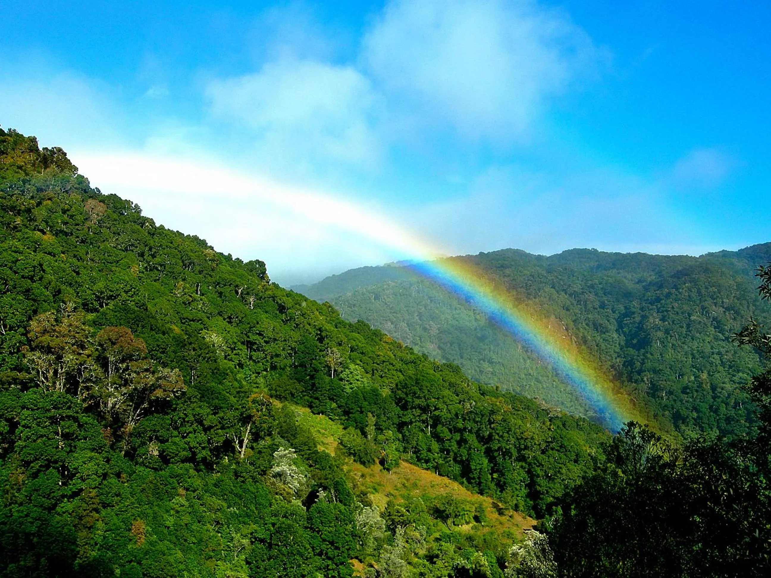 Natural landscape in Hotel de Montaña Suria