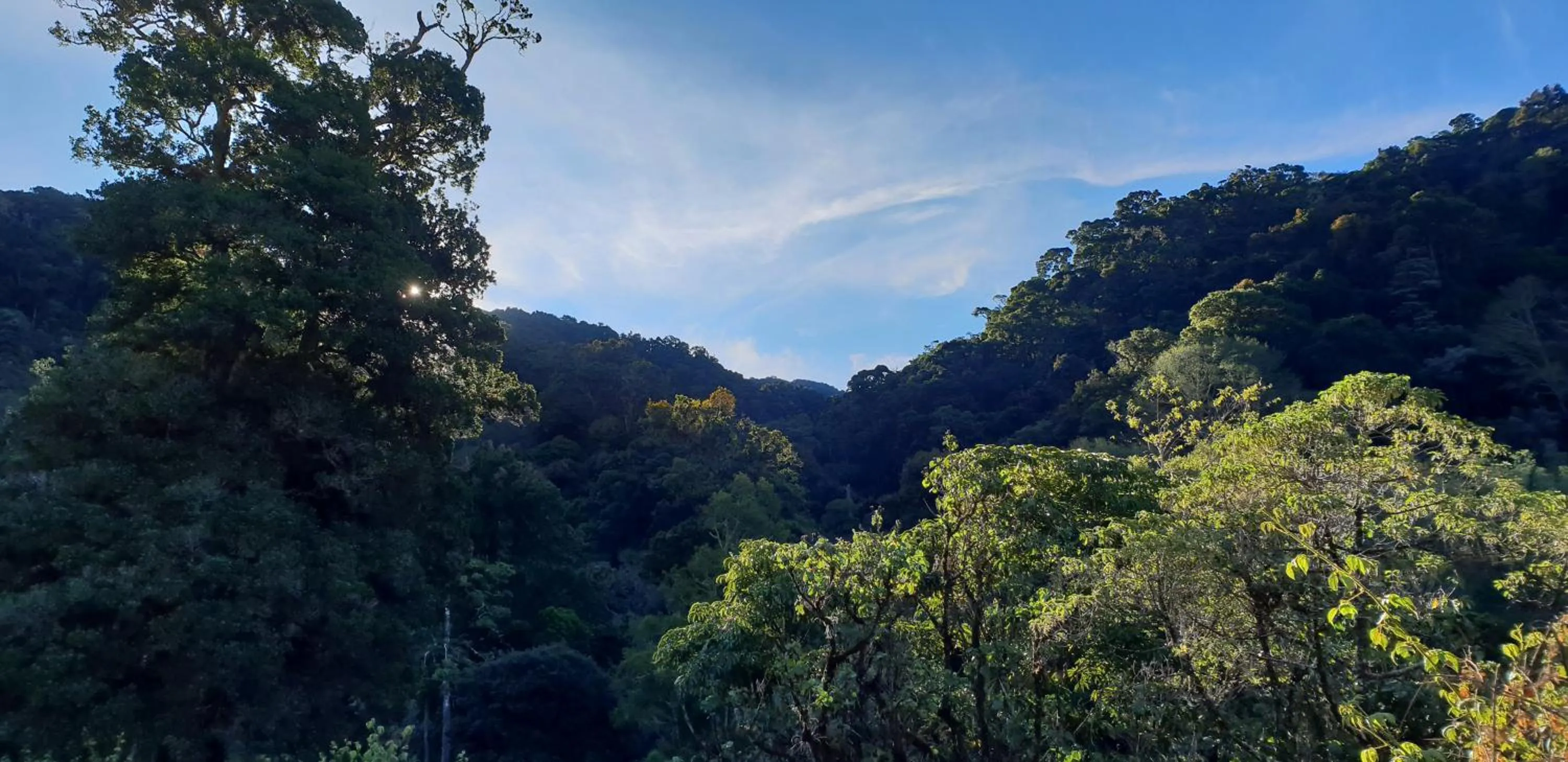 Natural landscape in Hotel de Montaña Suria
