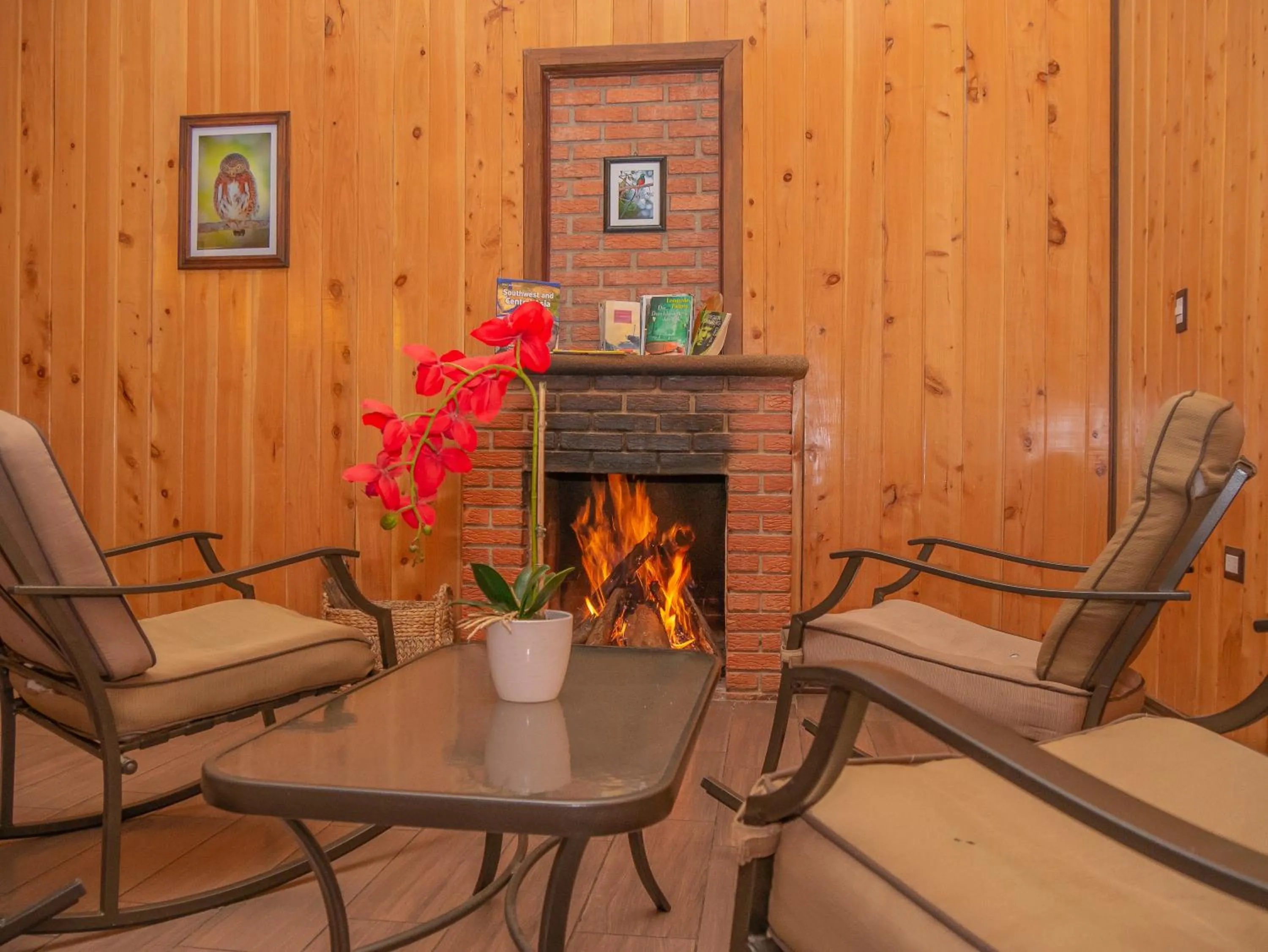 Communal lounge/ TV room in Hotel de Montaña Suria