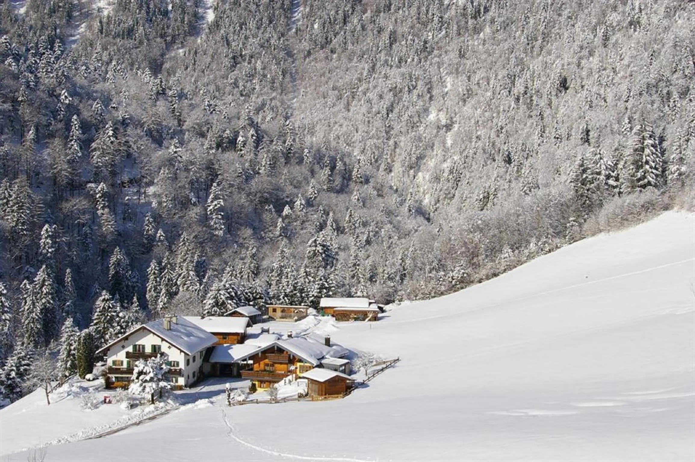 Bird's eye view in Haus Holzner-Nagl