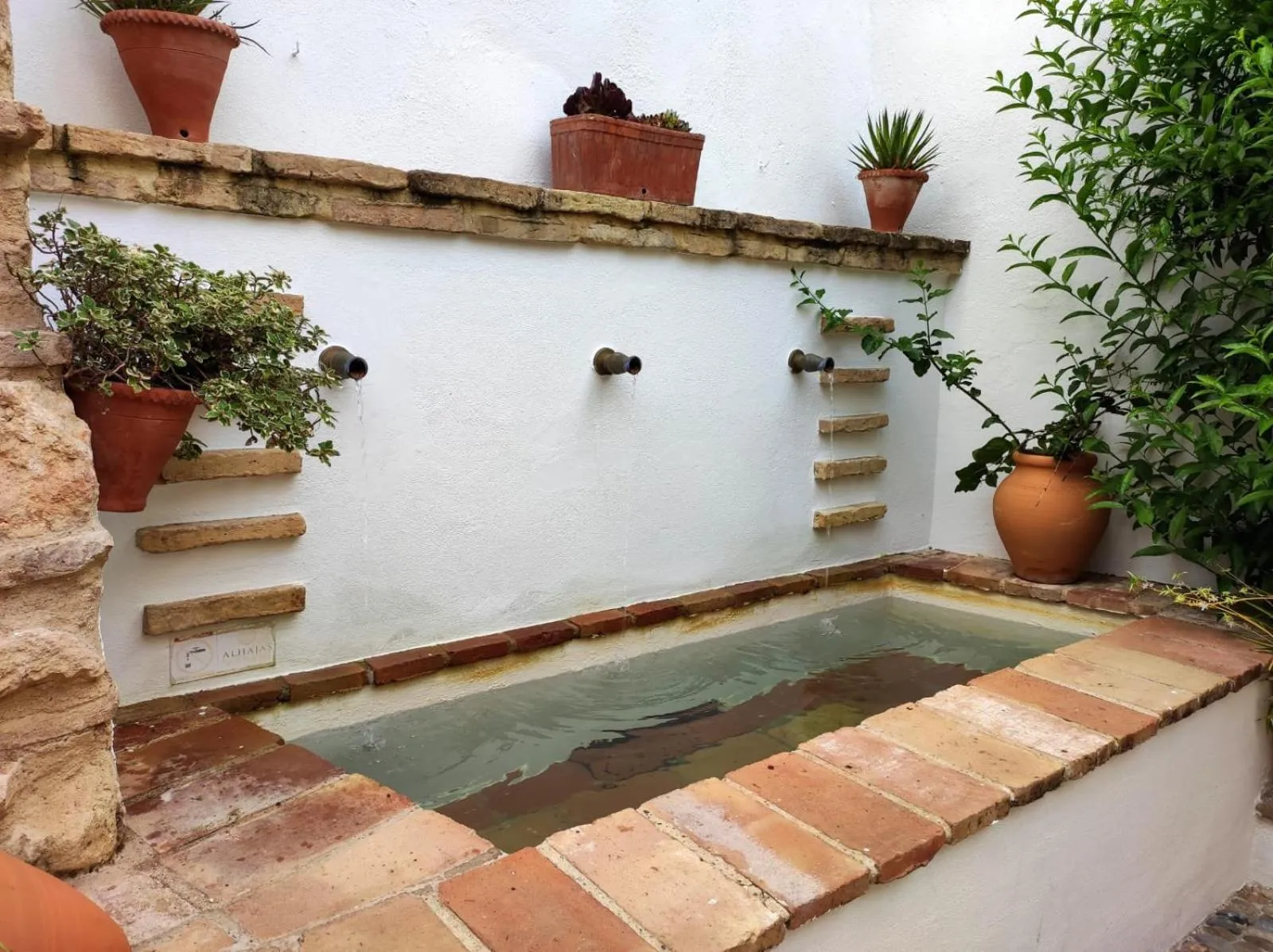 Patio in ALHAJAS DE CORDOBA