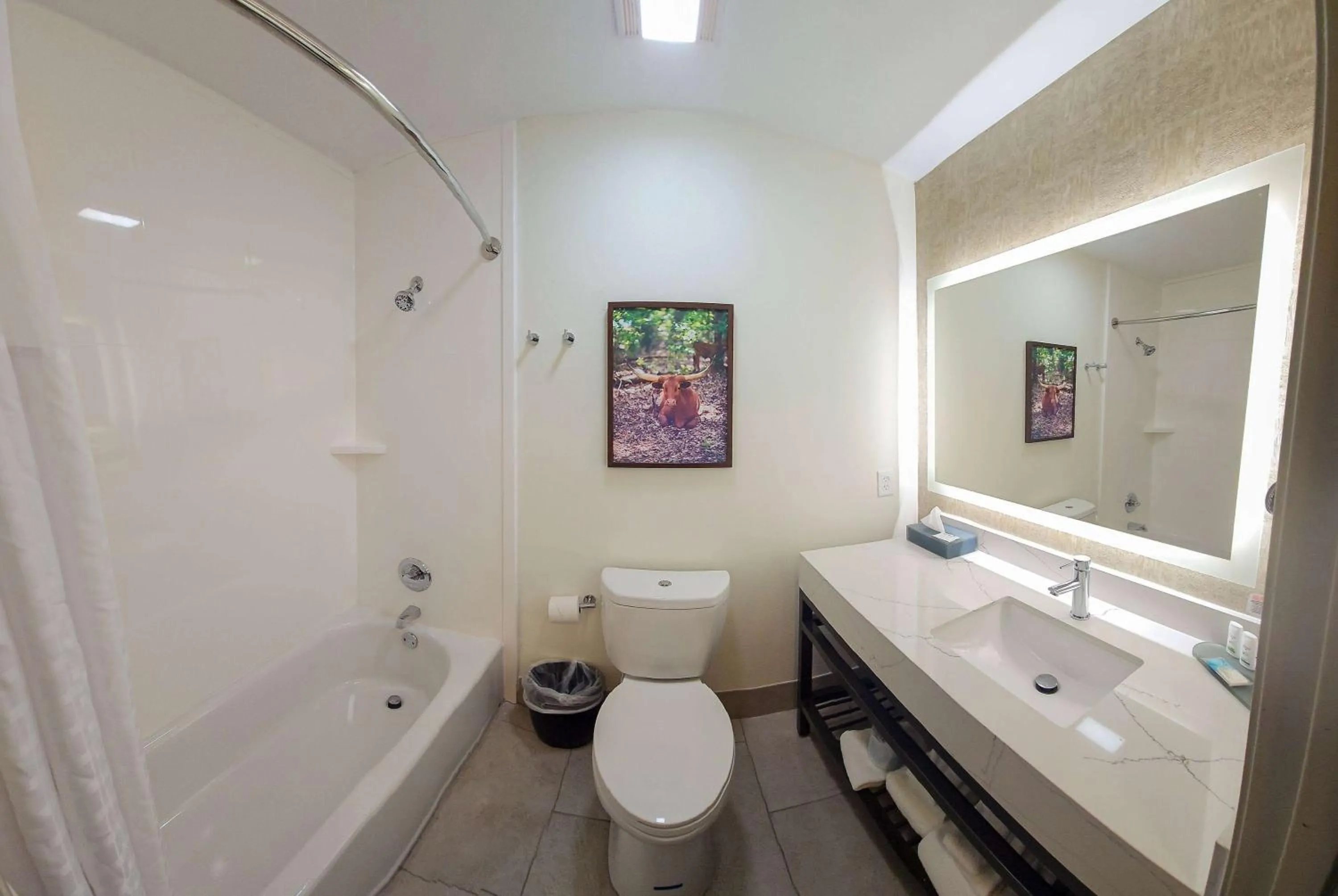 Bathroom in La Quinta by Wyndham Dallas Mesquite