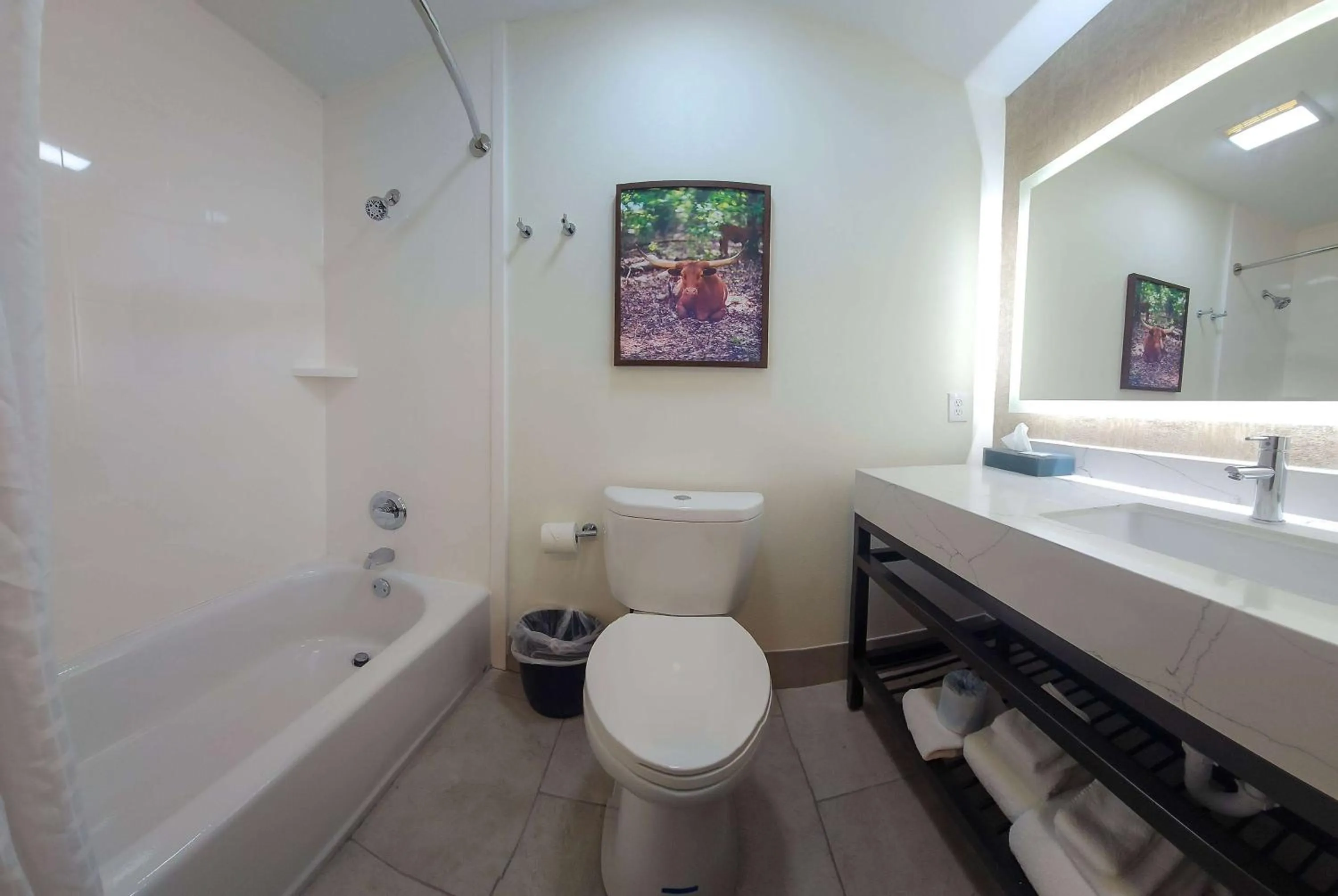 Bathroom in La Quinta by Wyndham Dallas Mesquite