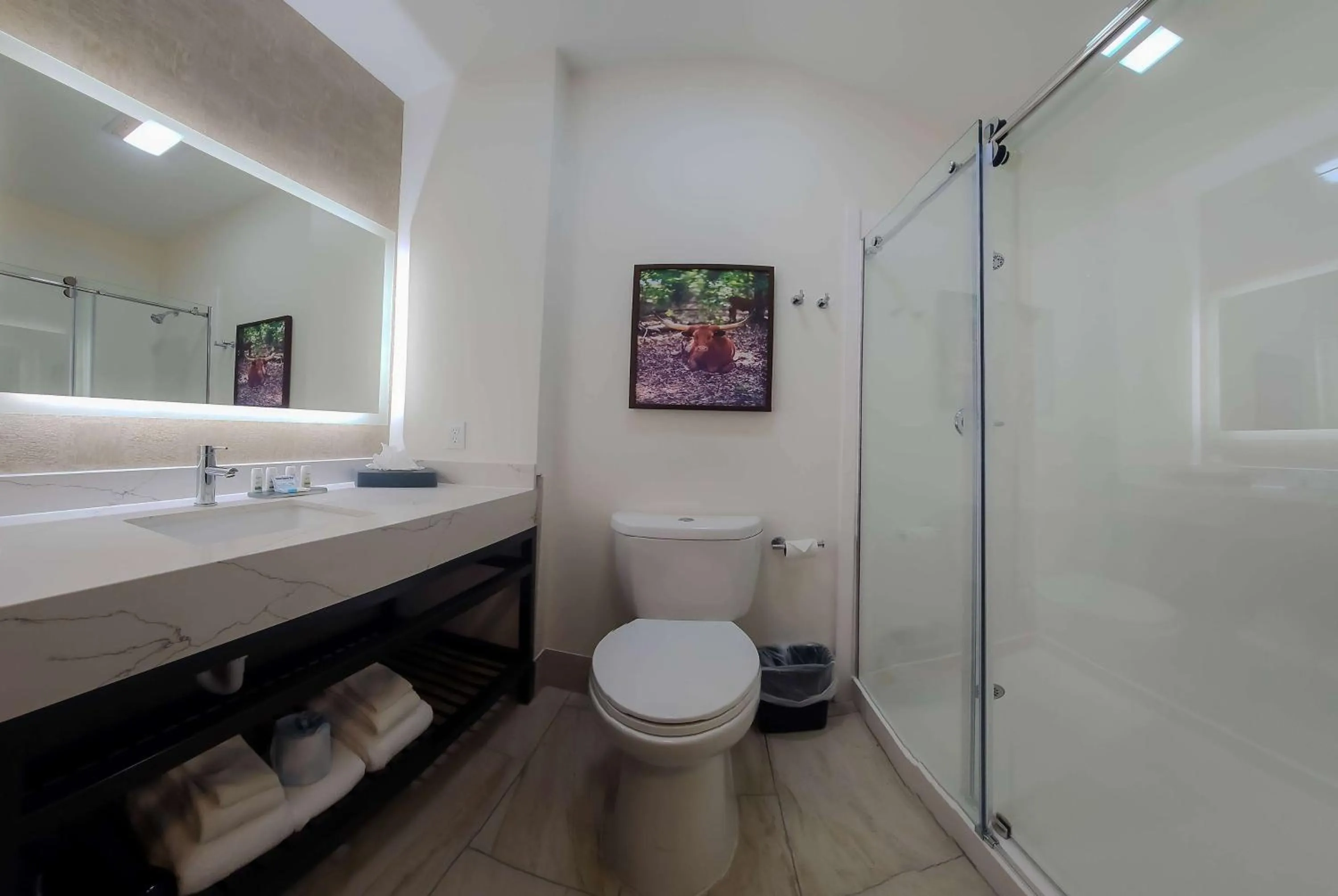 Bathroom in La Quinta by Wyndham Dallas Mesquite