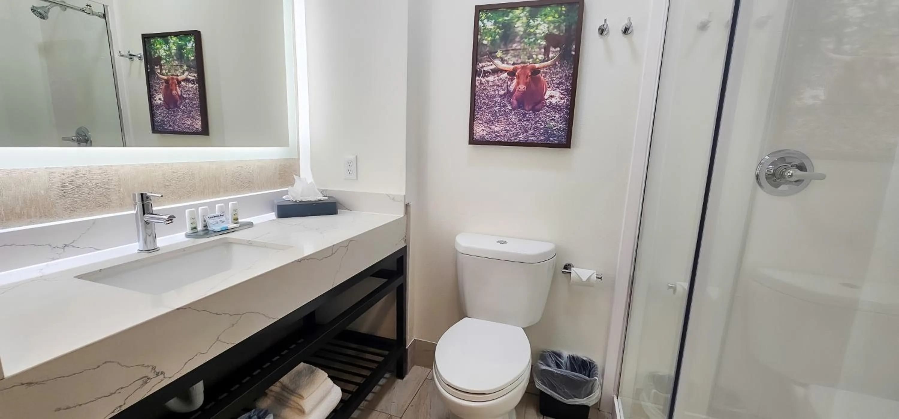 Bathroom in La Quinta by Wyndham Dallas Mesquite