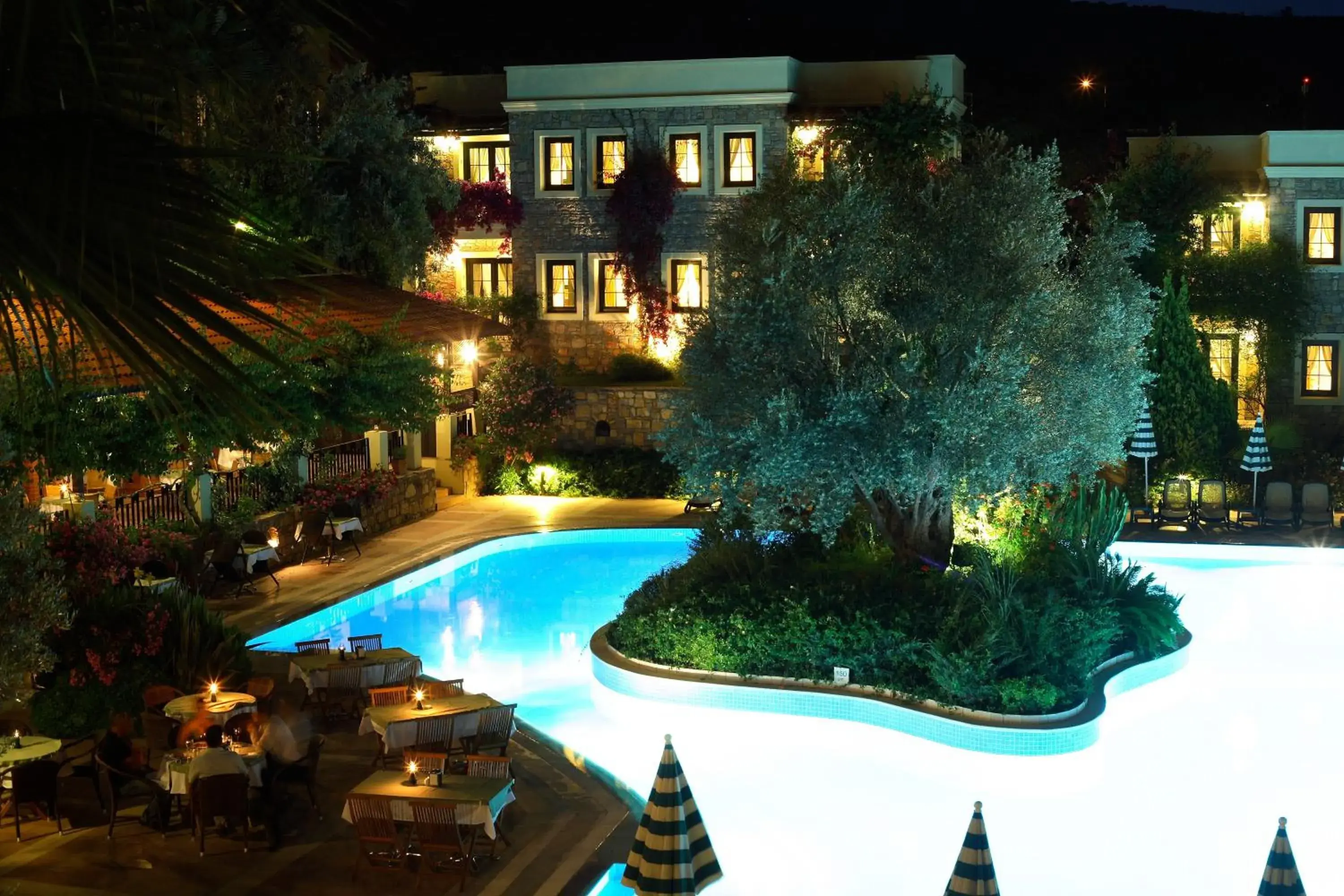 Pool view in Zeytinada Hotel Pool view in Zeytinada Hotel