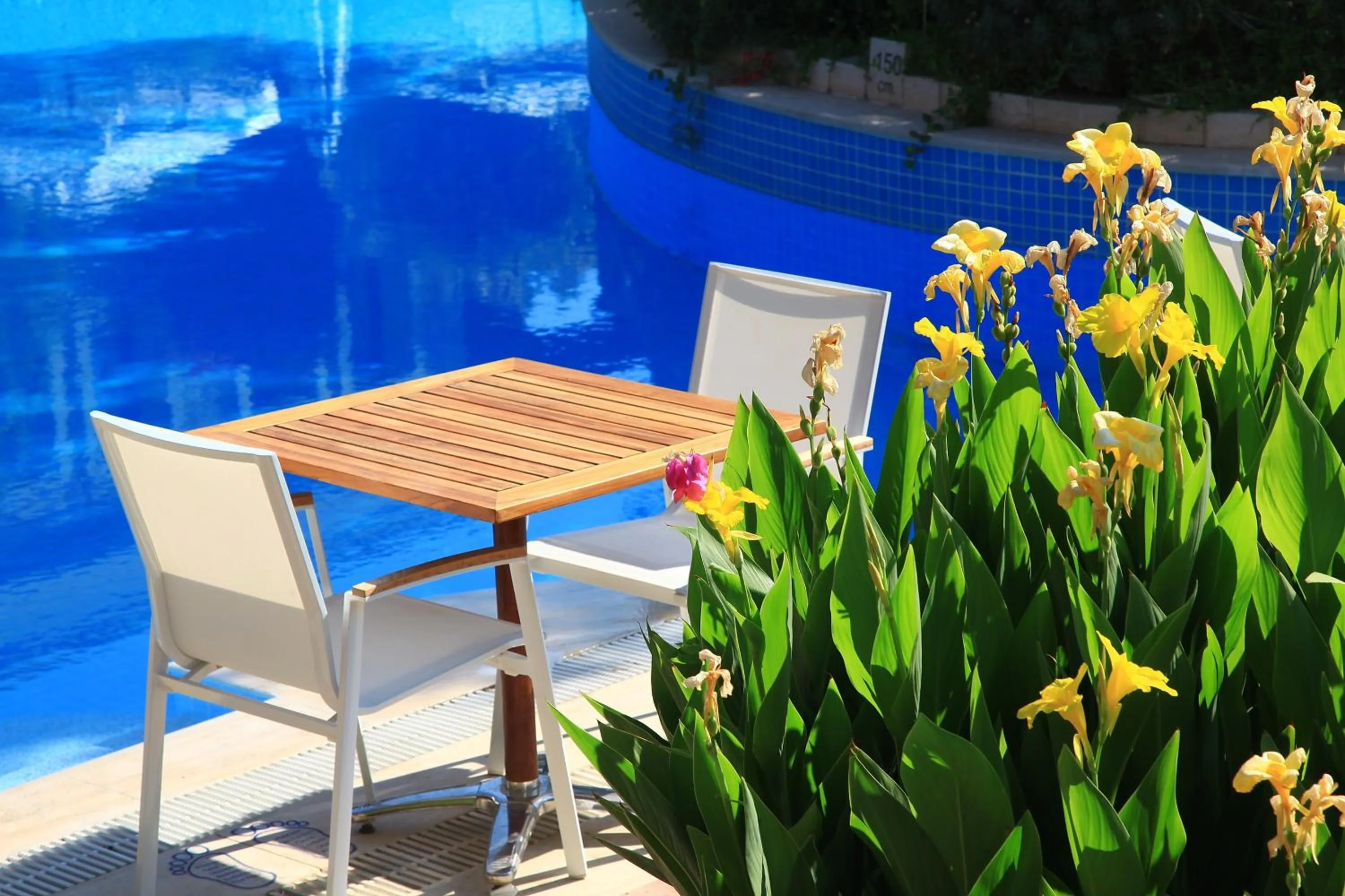 Day in Zeytinada Hotel