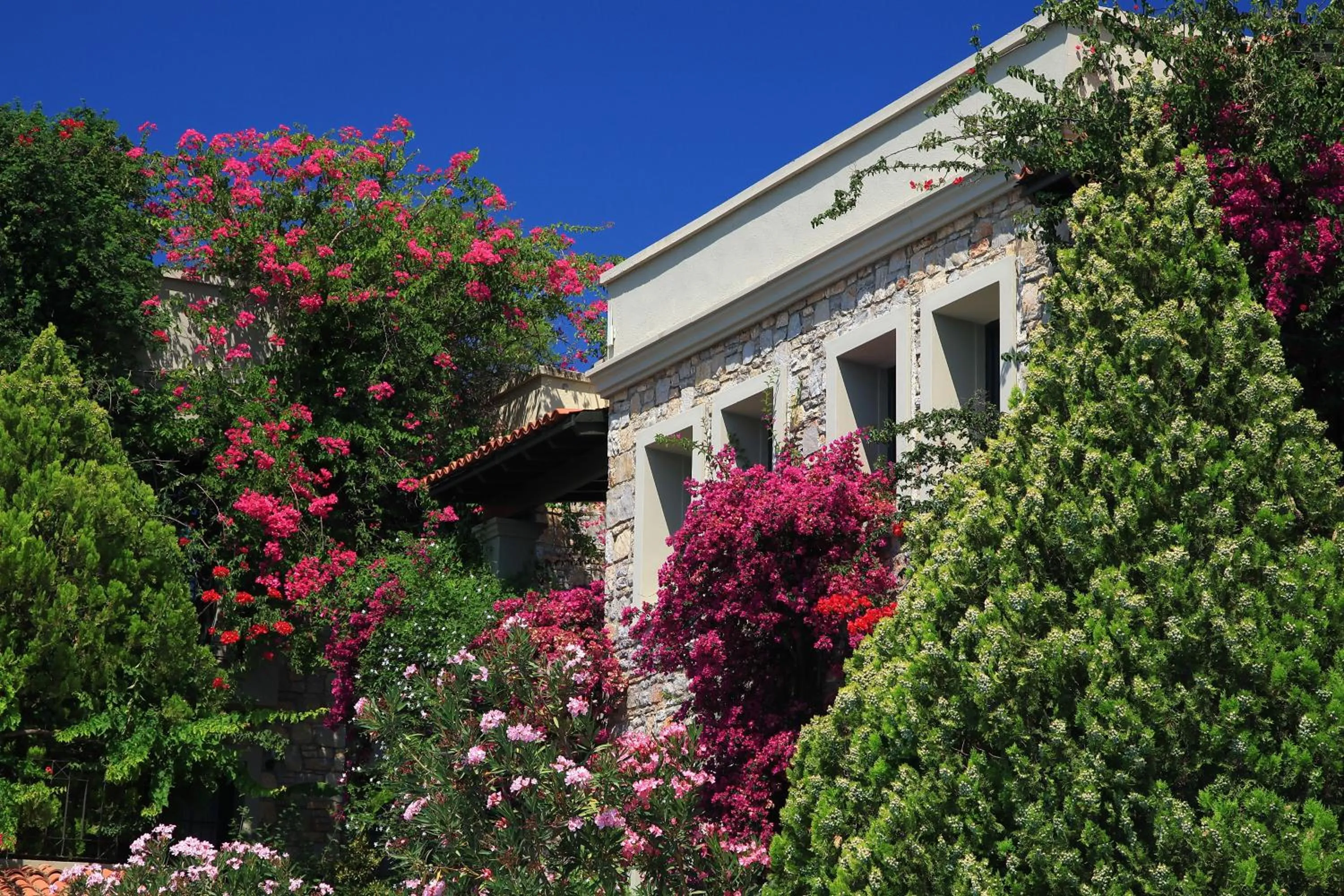 Garden in Zeytinada Hotel
