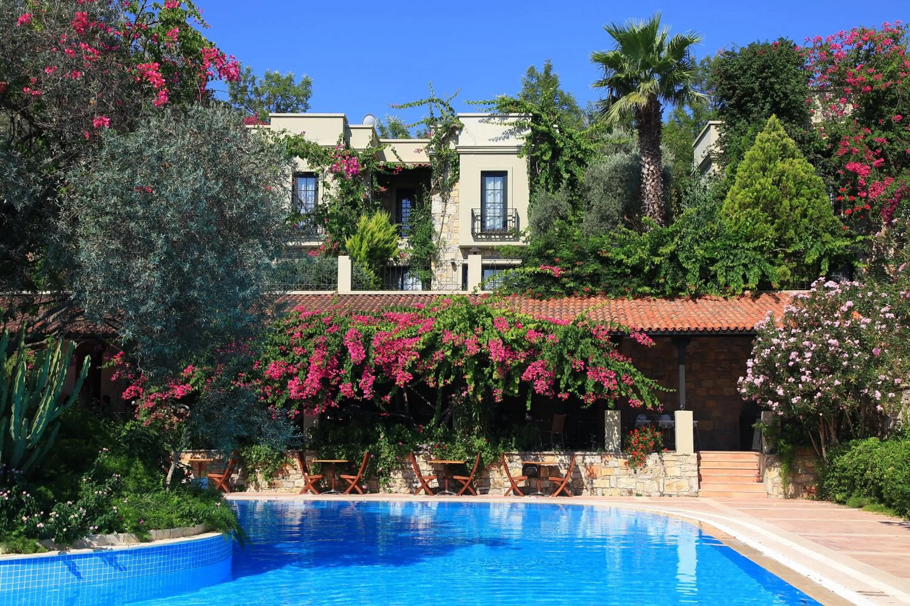 Day in Zeytinada Hotel