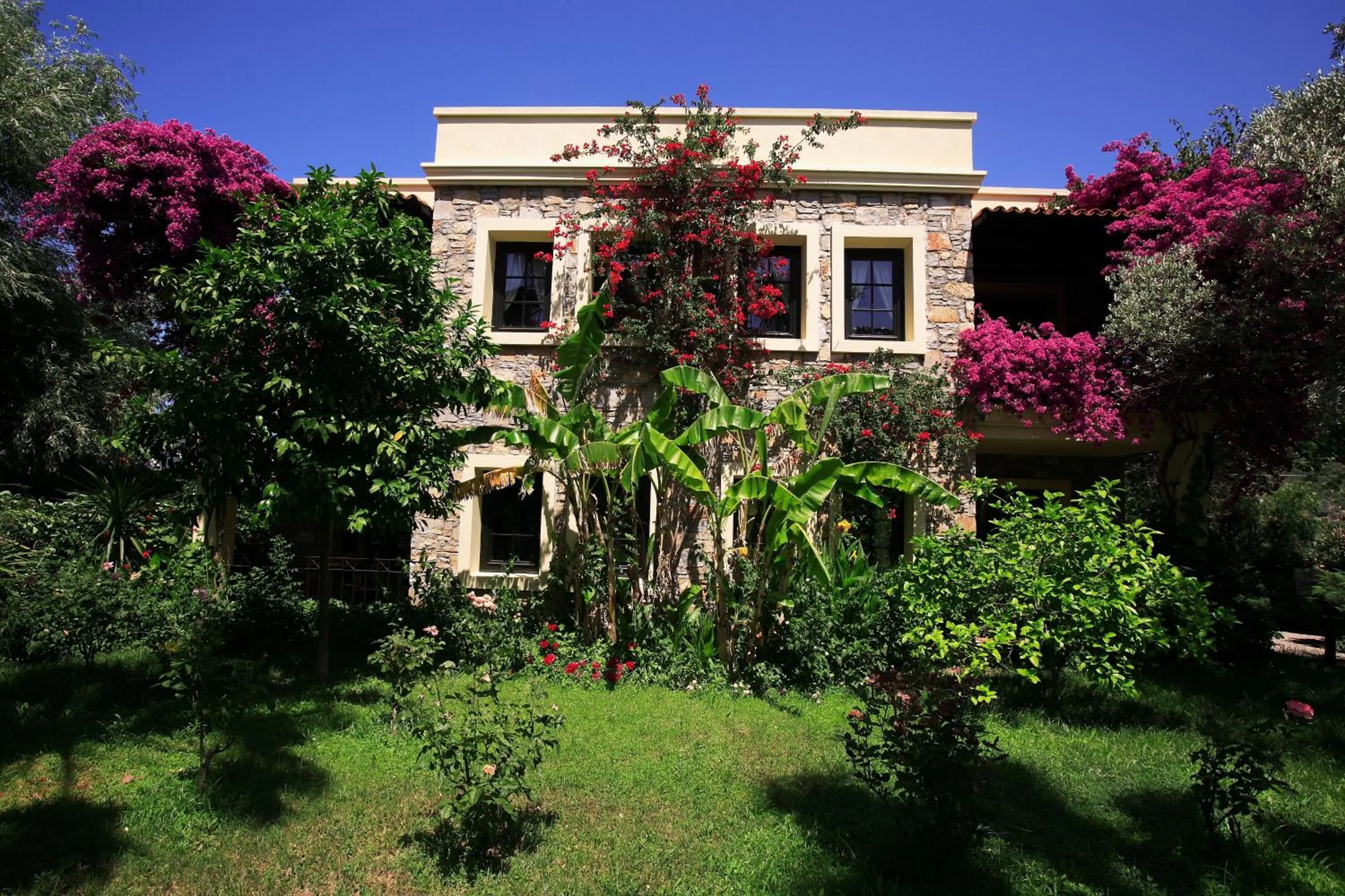 Property building in Zeytinada Hotel