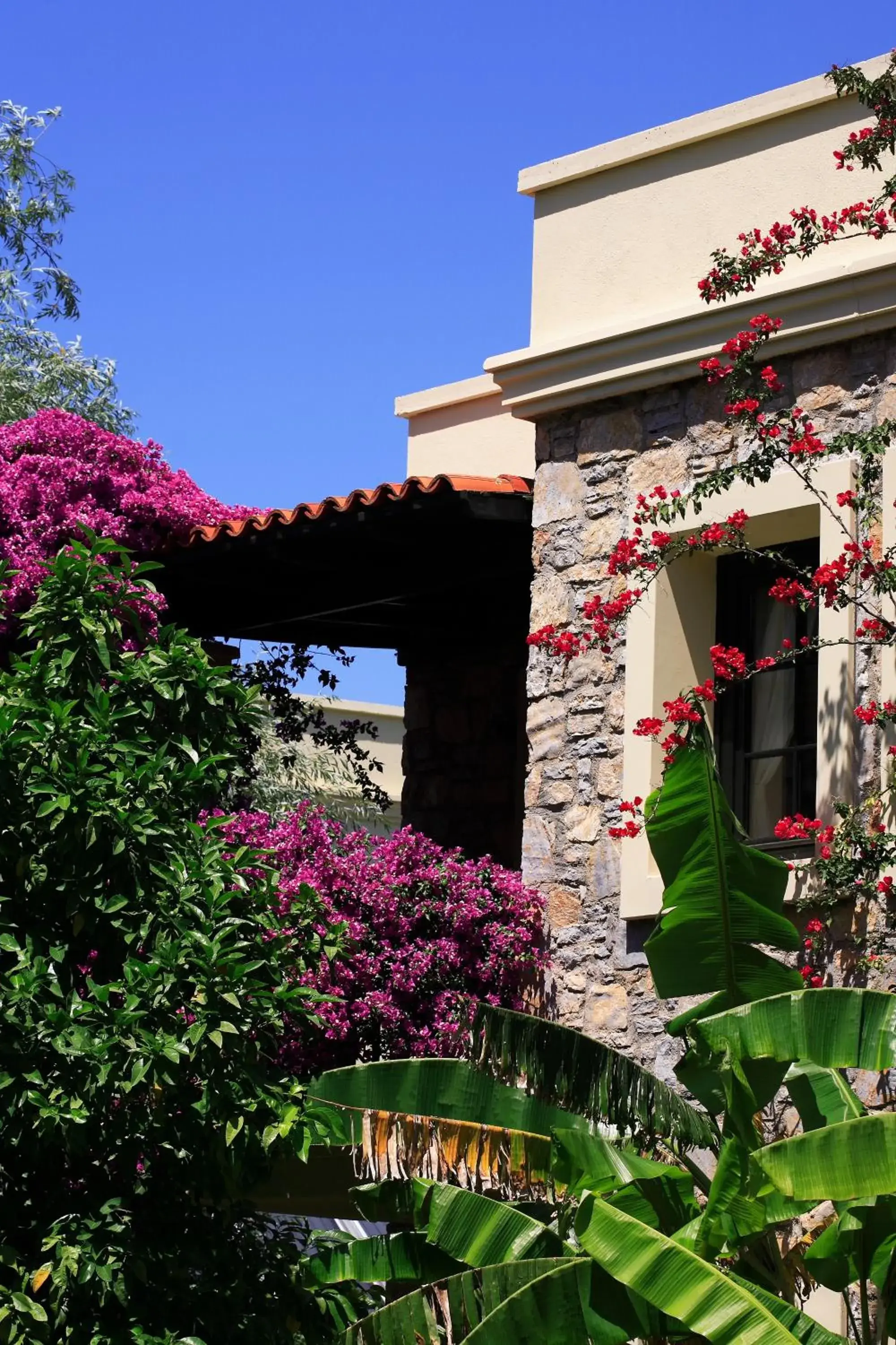 Property building in Zeytinada Hotel Property building in Zeytinada Hotel