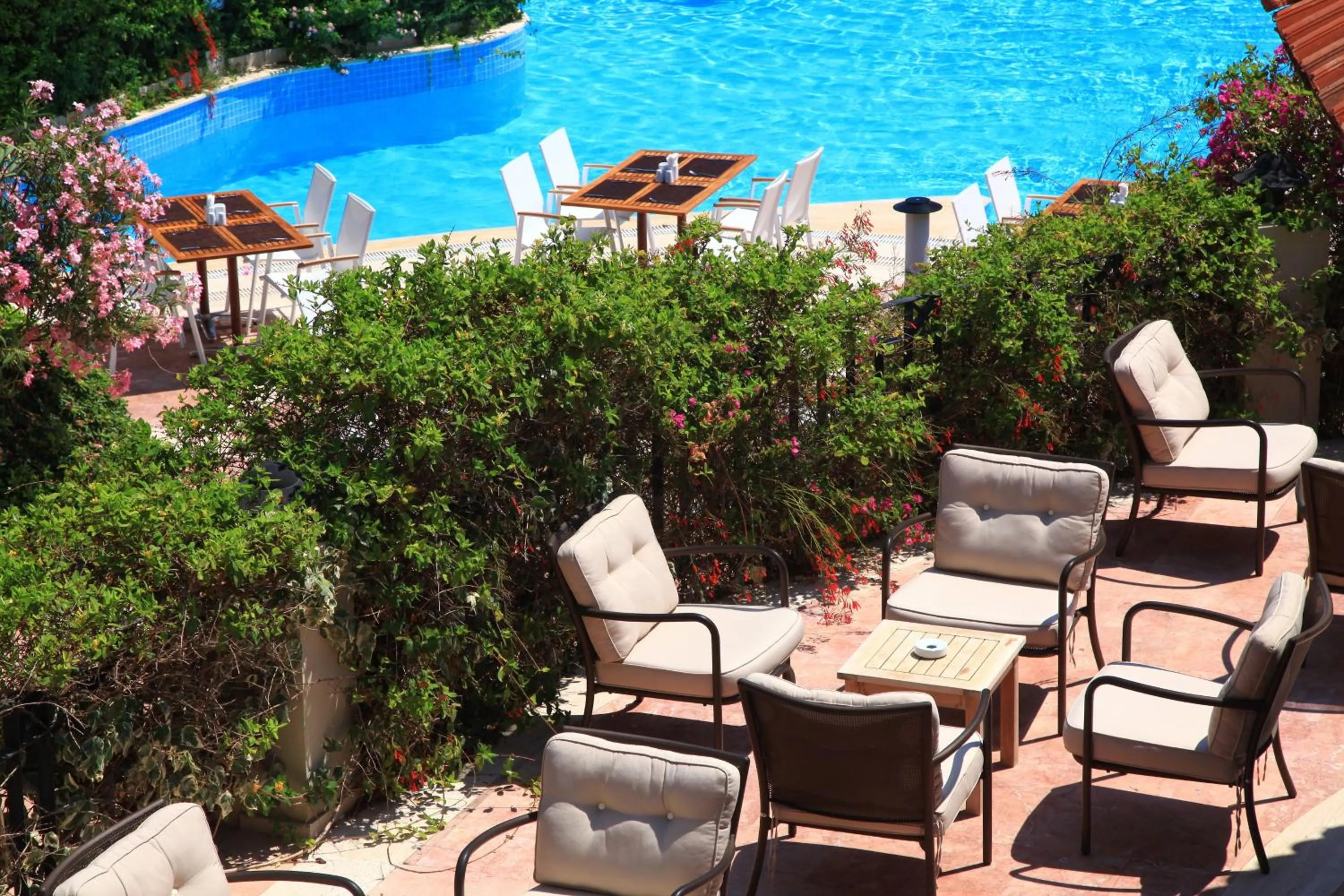 Pool view in Zeytinada Hotel