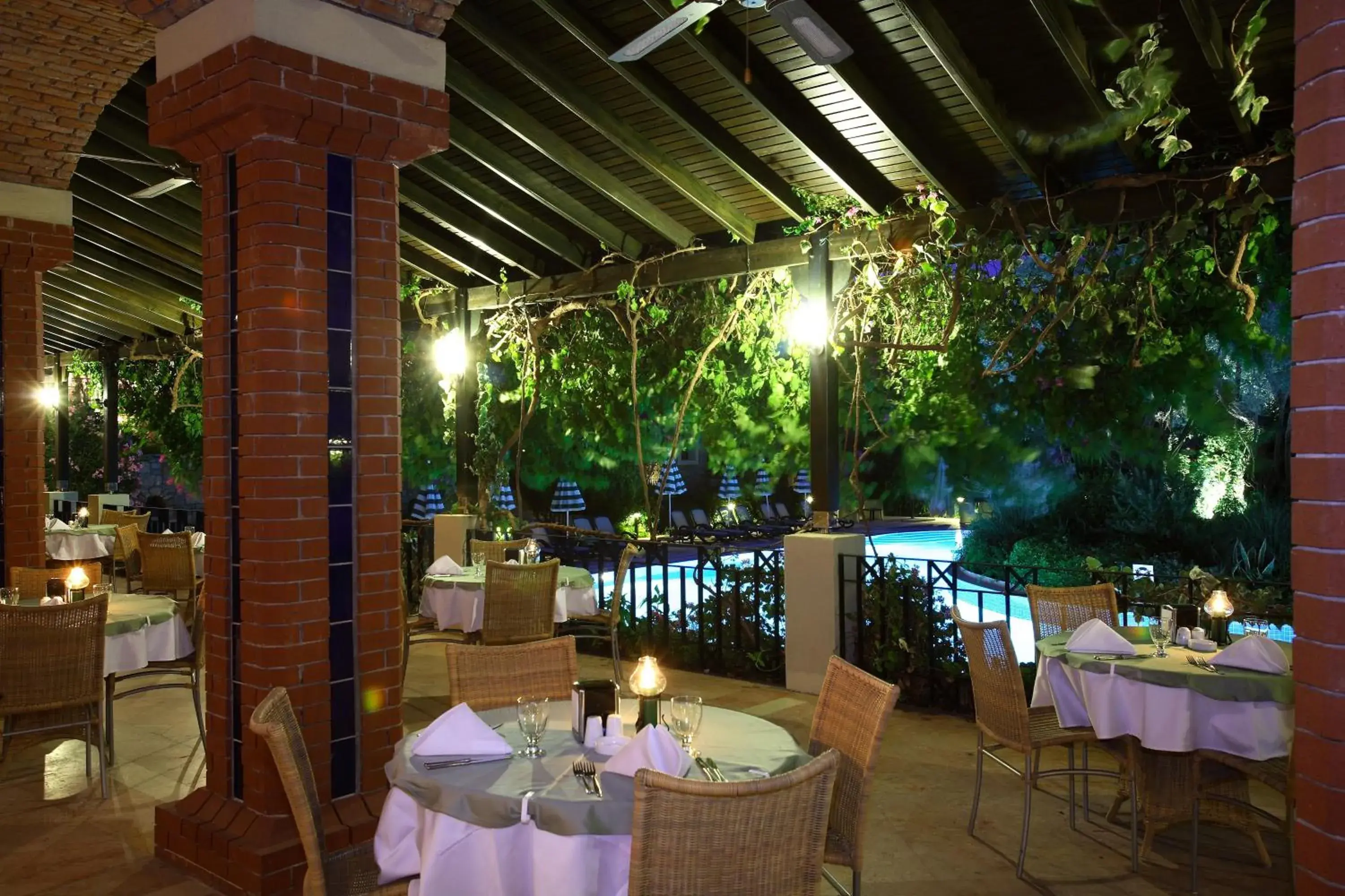 Restaurant/places to eat in Zeytinada Hotel Restaurant/places to eat in Zeytinada Hotel