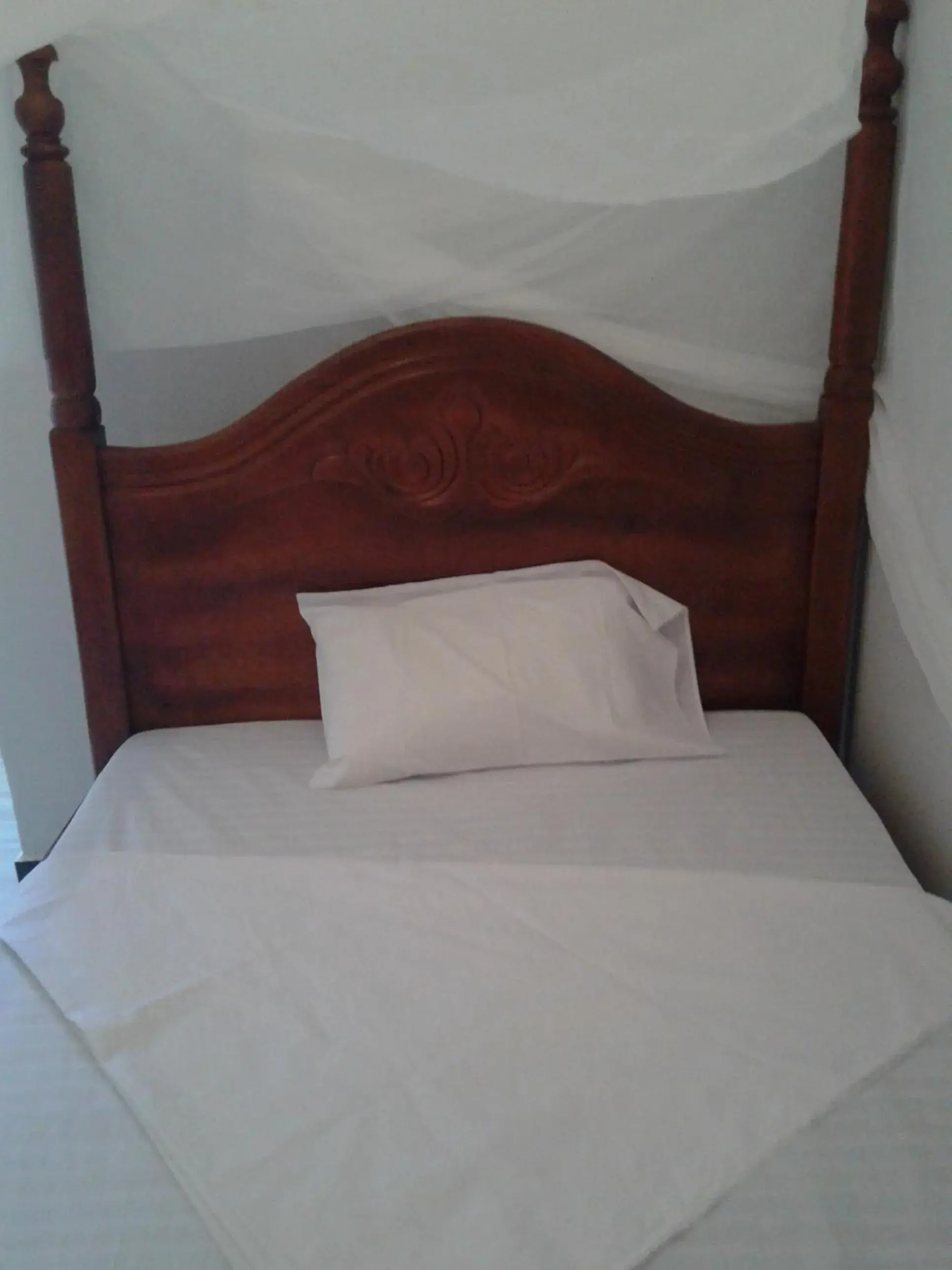 Single Room in FREEDOM Guest House Single Room in FREEDOM Guest House